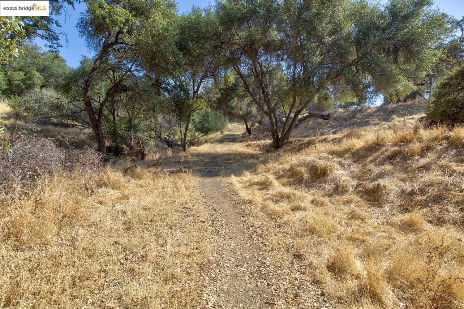 Detail Gallery Image 23 of 54 For 20351 Tuttletown Road, Sonora,  CA 95370 - – Beds | – Baths