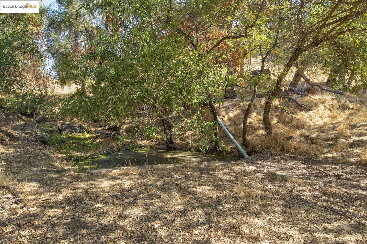 Detail Gallery Image 26 of 54 For 20351 Tuttletown Road, Sonora,  CA 95370 - – Beds | – Baths