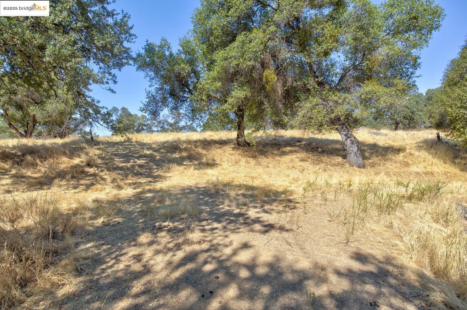 Detail Gallery Image 29 of 54 For 20351 Tuttletown Road, Sonora,  CA 95370 - – Beds | – Baths