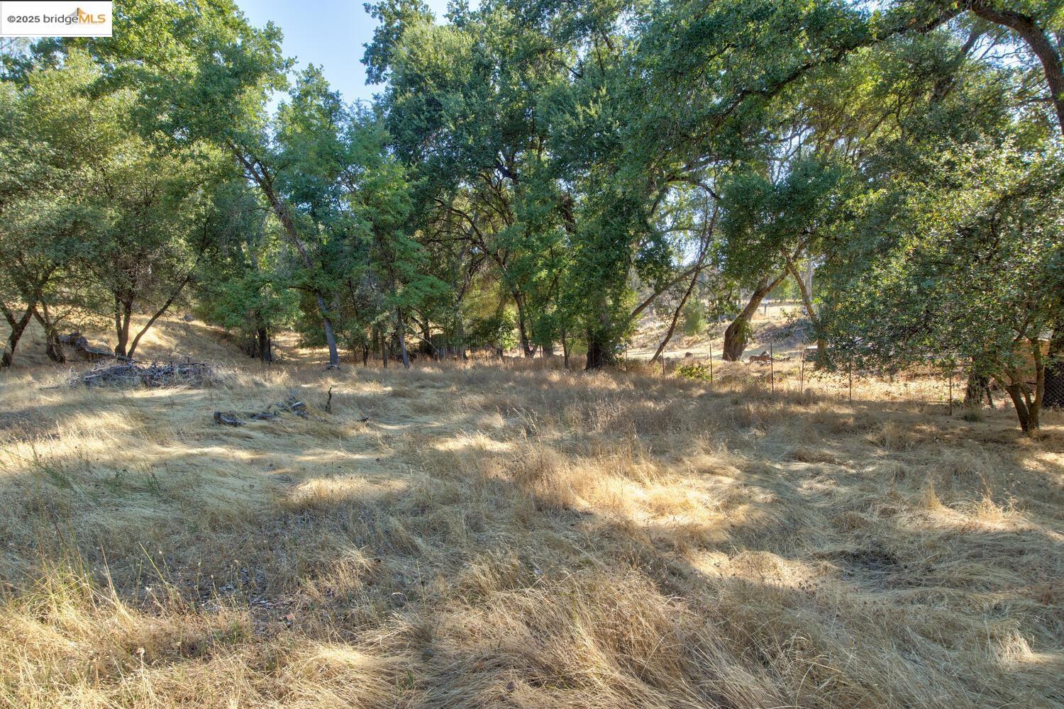 Detail Gallery Image 4 of 54 For 20351 Tuttletown Road, Sonora,  CA 95370 - – Beds | – Baths