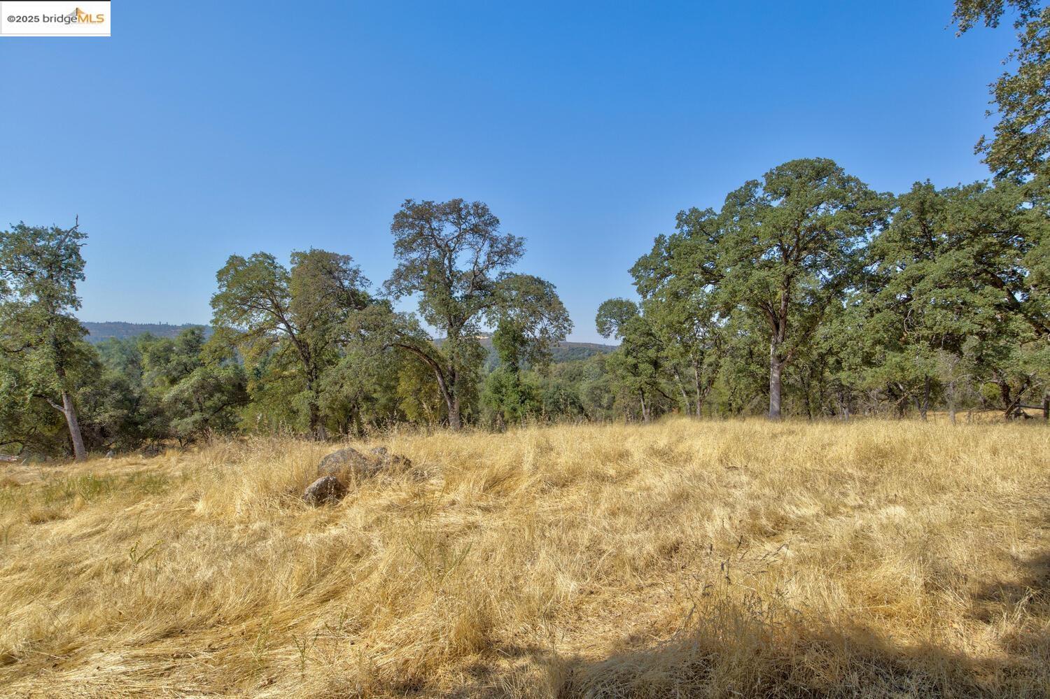 Detail Gallery Image 31 of 54 For 20351 Tuttletown Road, Sonora,  CA 95370 - – Beds | – Baths