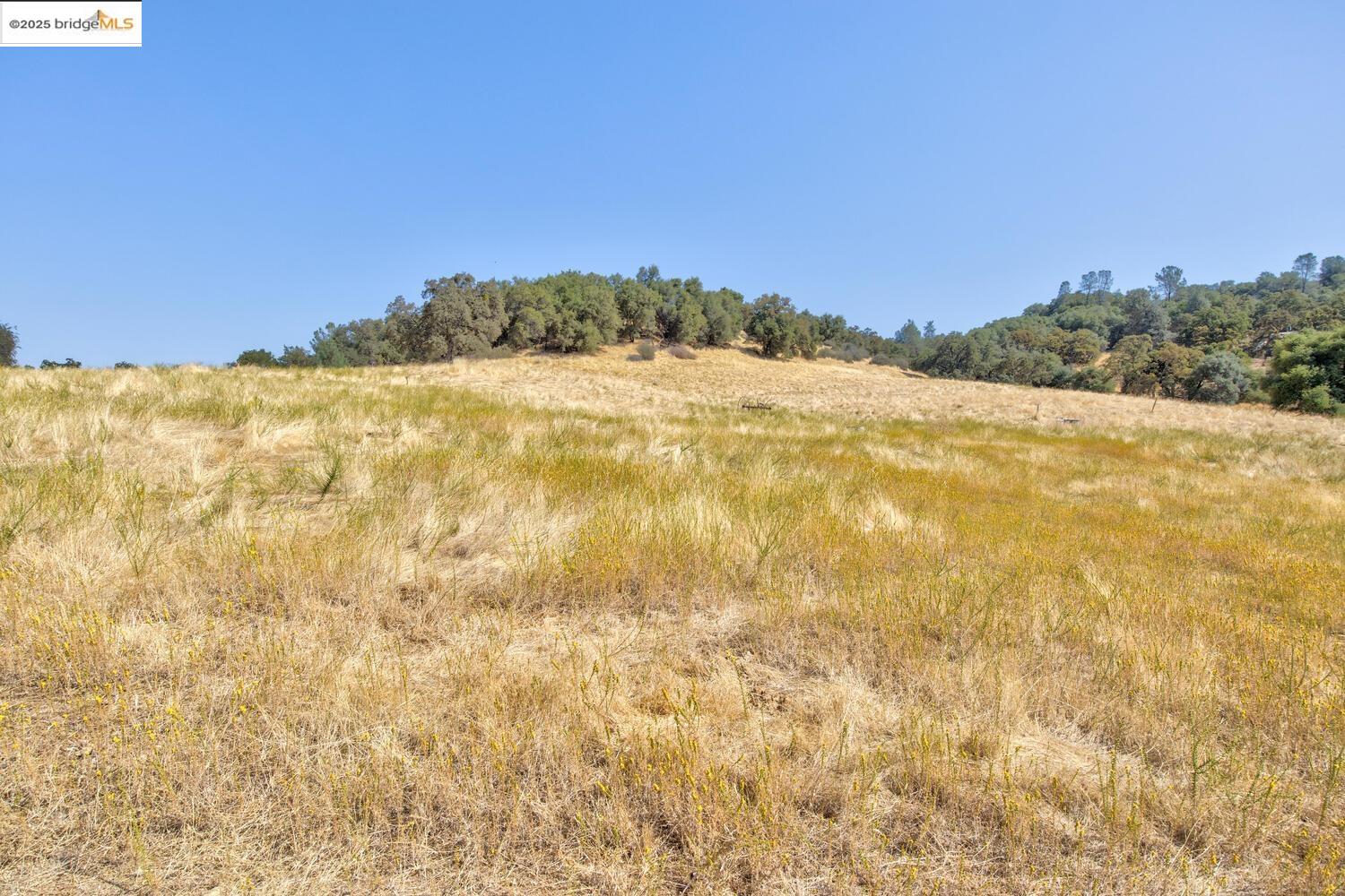 Detail Gallery Image 38 of 54 For 20351 Tuttletown Road, Sonora,  CA 95370 - – Beds | – Baths