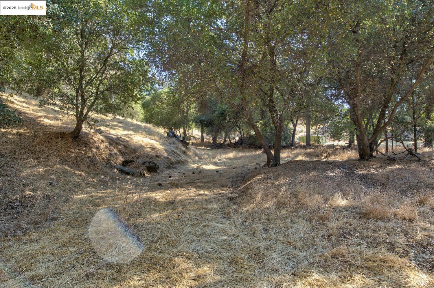 Detail Gallery Image 5 of 54 For 20351 Tuttletown Road, Sonora,  CA 95370 - – Beds | – Baths