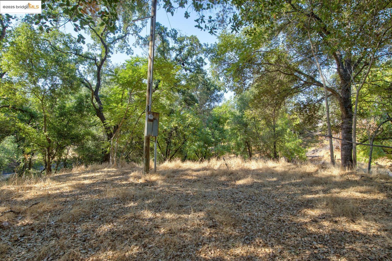 Detail Gallery Image 6 of 54 For 20351 Tuttletown Road, Sonora,  CA 95370 - – Beds | – Baths