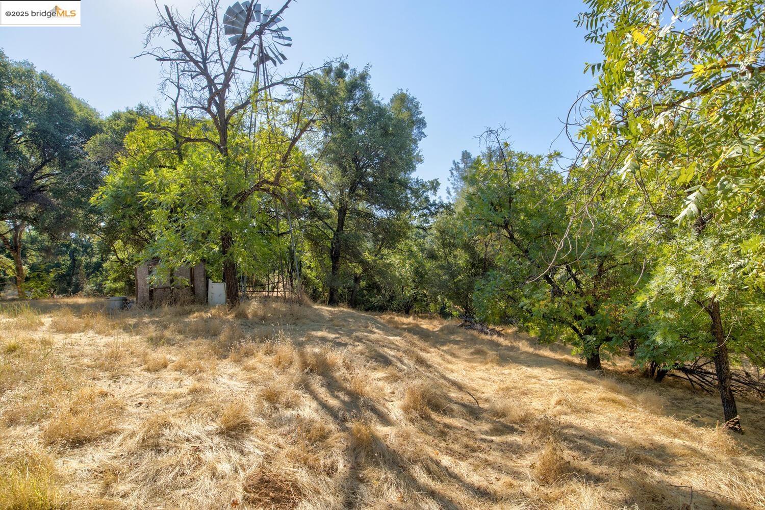 Detail Gallery Image 8 of 54 For 20351 Tuttletown Road, Sonora,  CA 95370 - – Beds | – Baths