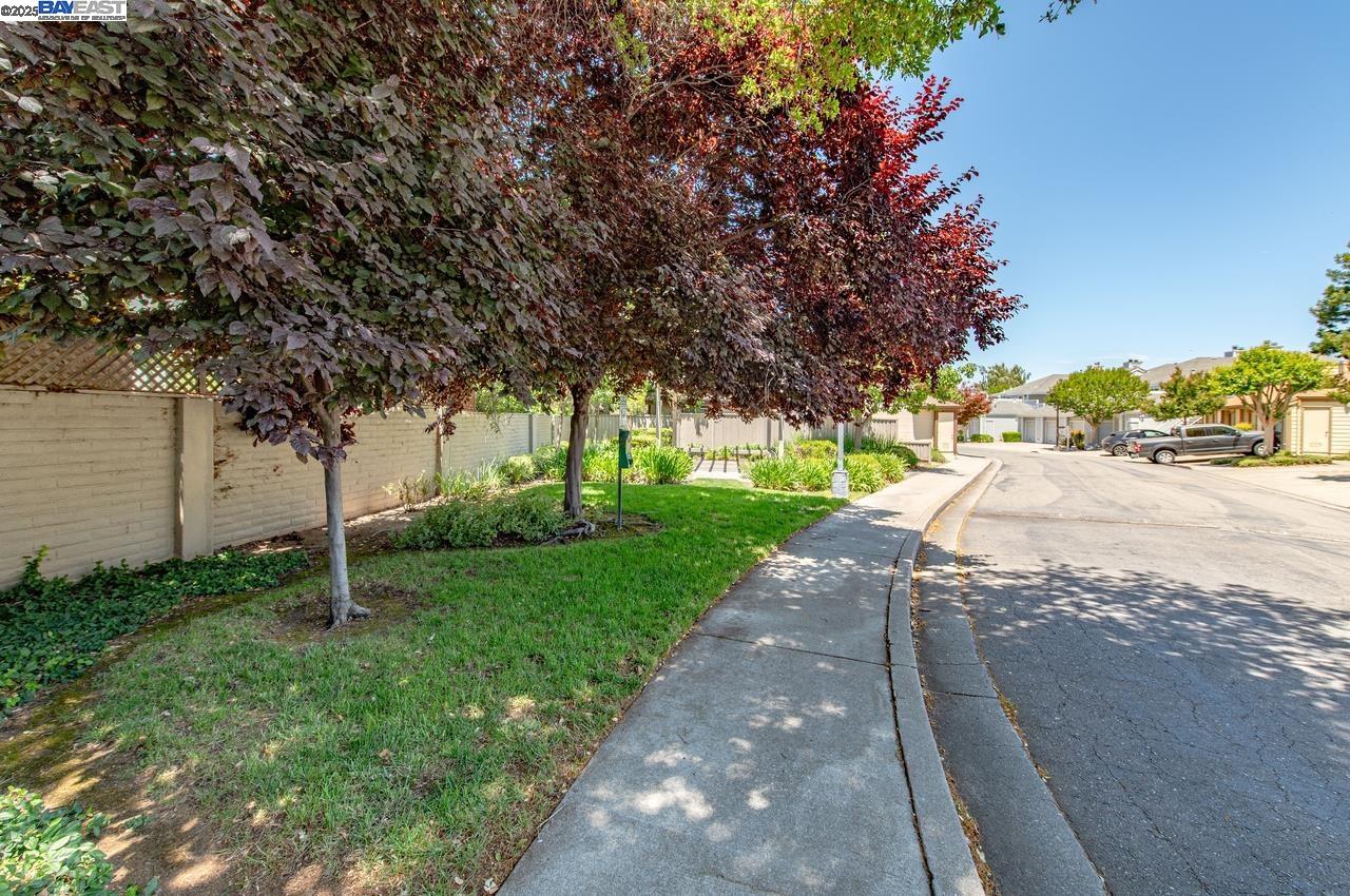 Photo #33: 41113693 Listing: Photo #33