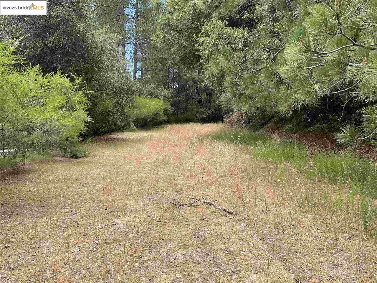 Front Image Thumbnail for EB41113736