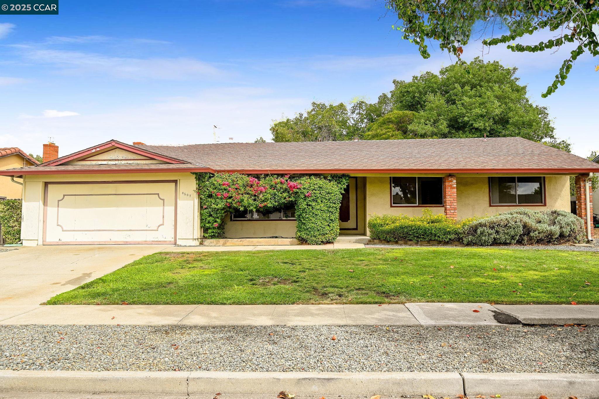 Front Image Thumbnail for CC41113737