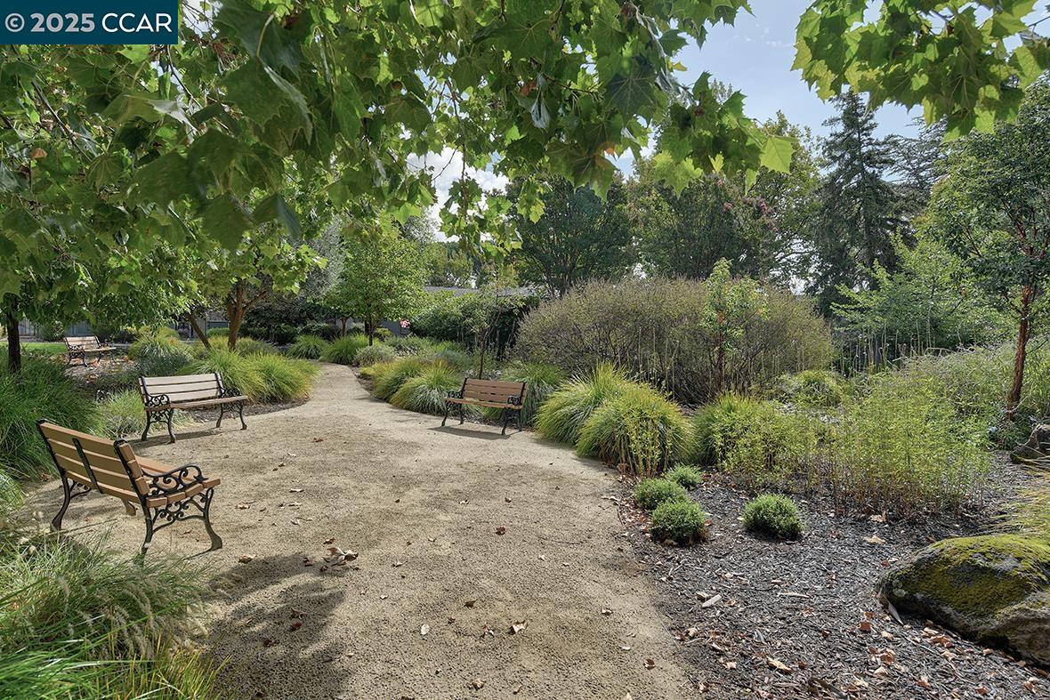 Photo #46: 41113793 Listing: Photo #46