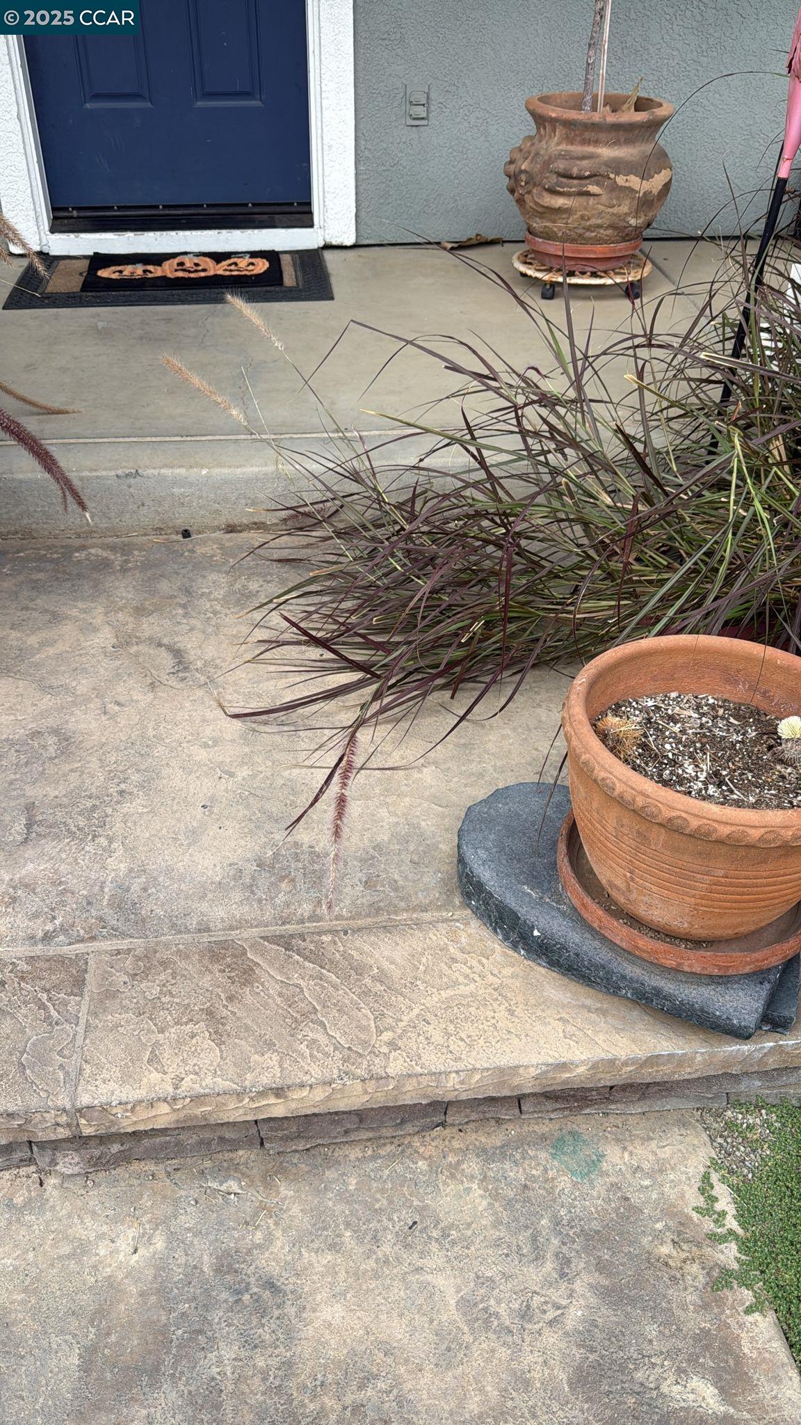 Detail Gallery Image 9 of 20 For 2358 Winchester Loop, Discovery Bay,  CA 94505 - 4 Beds | 3 Baths