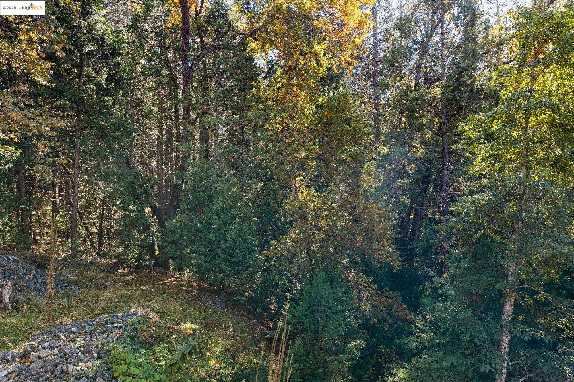 Detail Gallery Image 32 of 42 For 16512 S Creekside Drive, Sonora,  CA 95370 - 5 Beds | 3 Baths