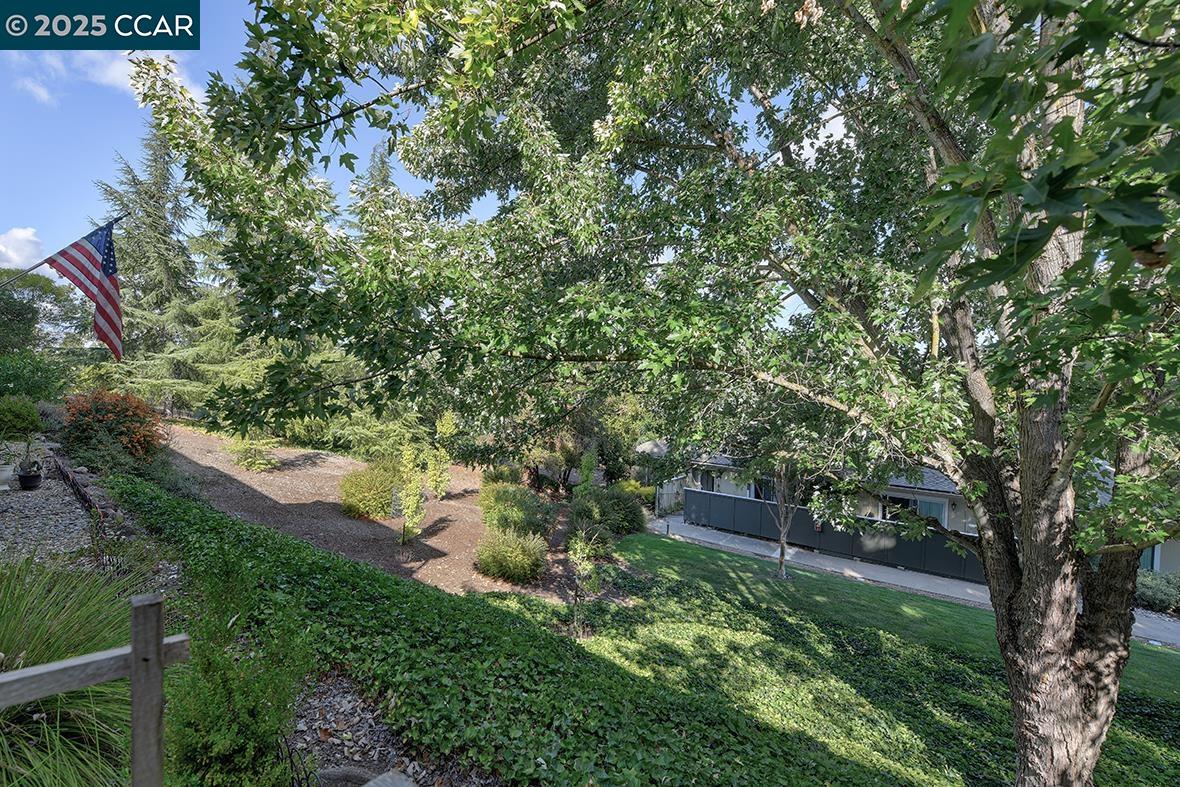 Photo #18: 41113932 Listing: Photo #18