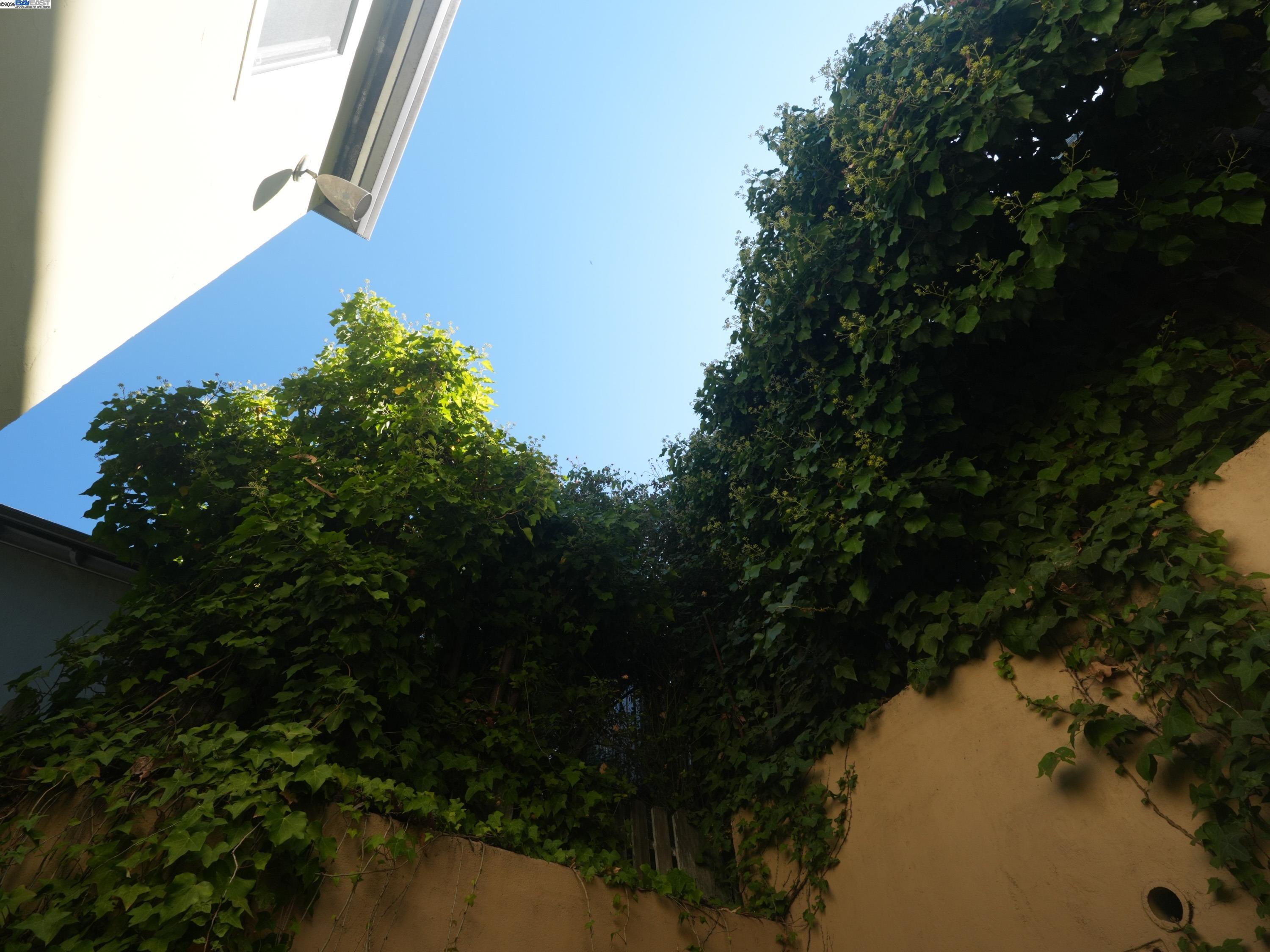 Detail Gallery Image 22 of 37 For 3026 Richmond Blvd, Oakland,  CA 94611 - – Beds | – Baths