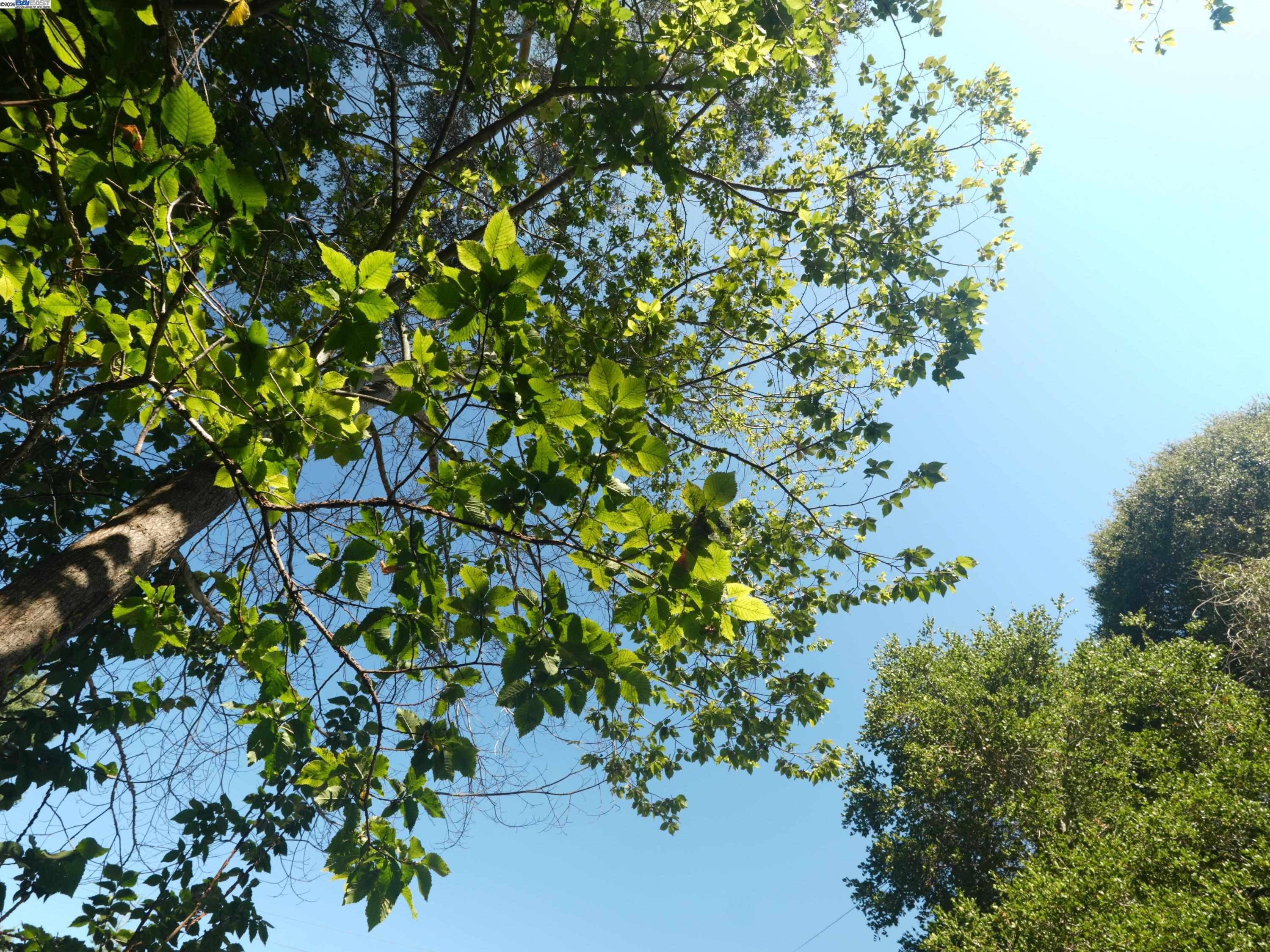 Detail Gallery Image 37 of 37 For 3026 Richmond Blvd, Oakland,  CA 94611 - – Beds | – Baths