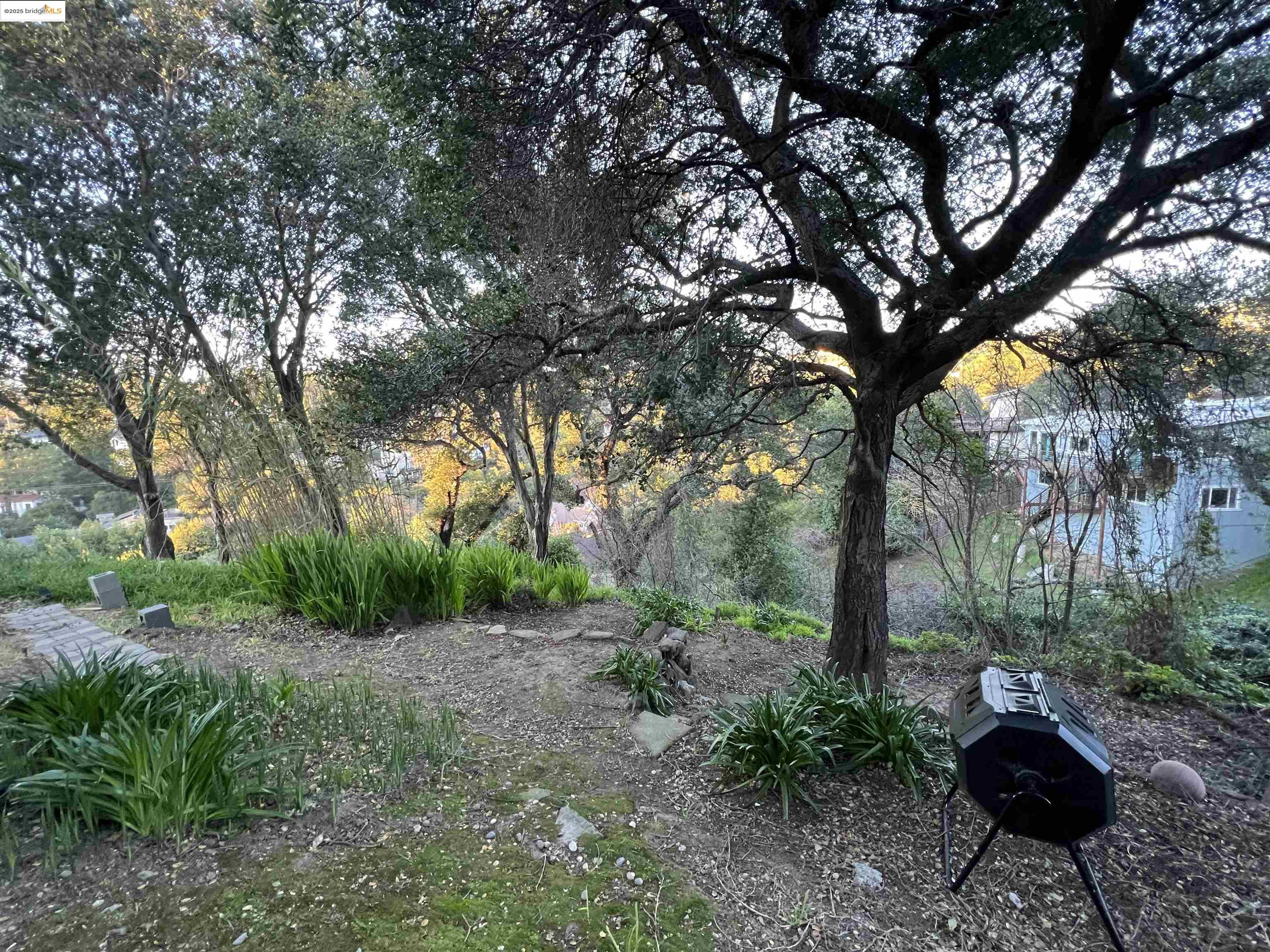 Detail Gallery Image 12 of 14 For 900 Everett Ave, Oakland,  CA 94602 - 2 Beds | 1 Baths