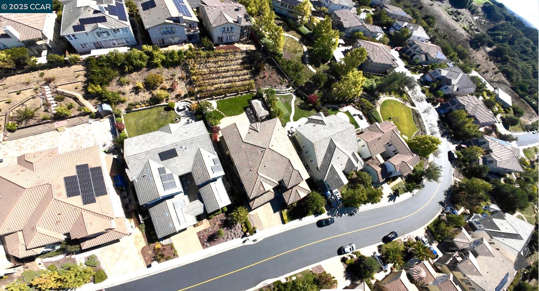 Front Image Thumbnail for CC41114082