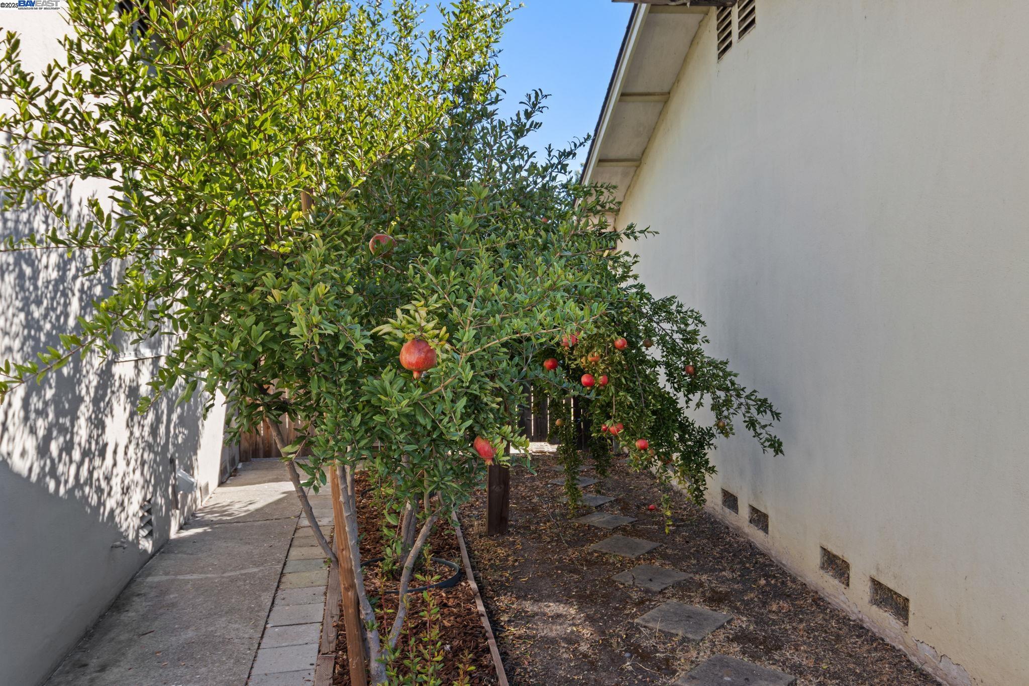 Detail Gallery Image 31 of 46 For 1241 Hibiscus Way, Livermore,  CA 94551 - 2 Beds | 1 Baths