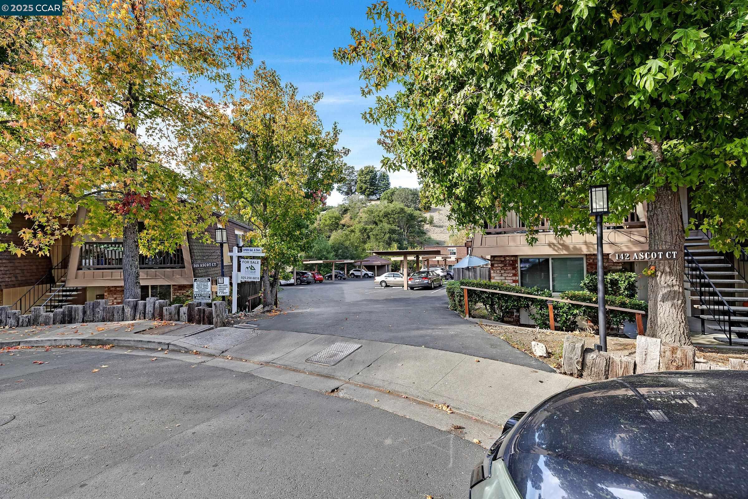 Photo #33: 41114121 Listing: Photo #33