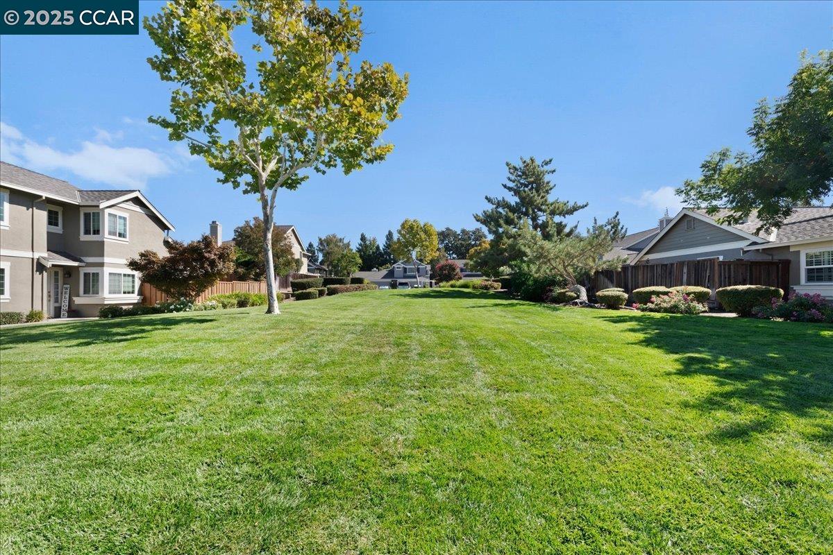 Photo #37: 41114170 Listing: Photo #37
