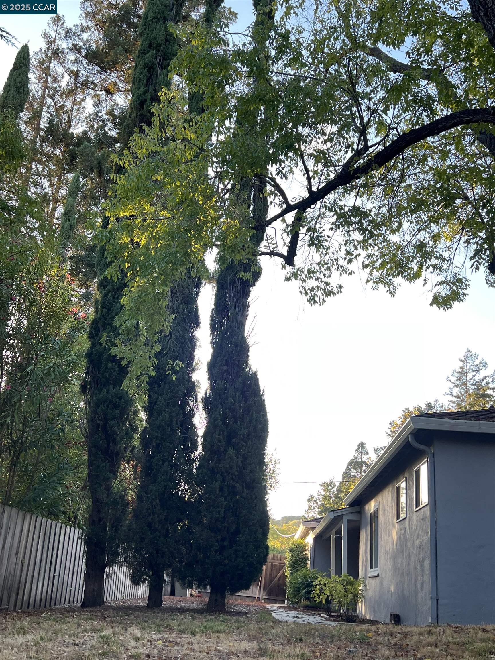 Detail Gallery Image 7 of 28 For 520 Dawkins Dr, Lafayette,  CA 94549 - 4 Beds | 2/1 Baths