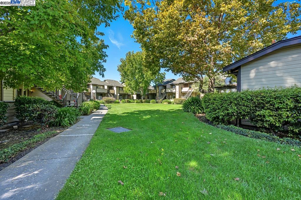 Photo #35: 41114191 Listing: Photo #35