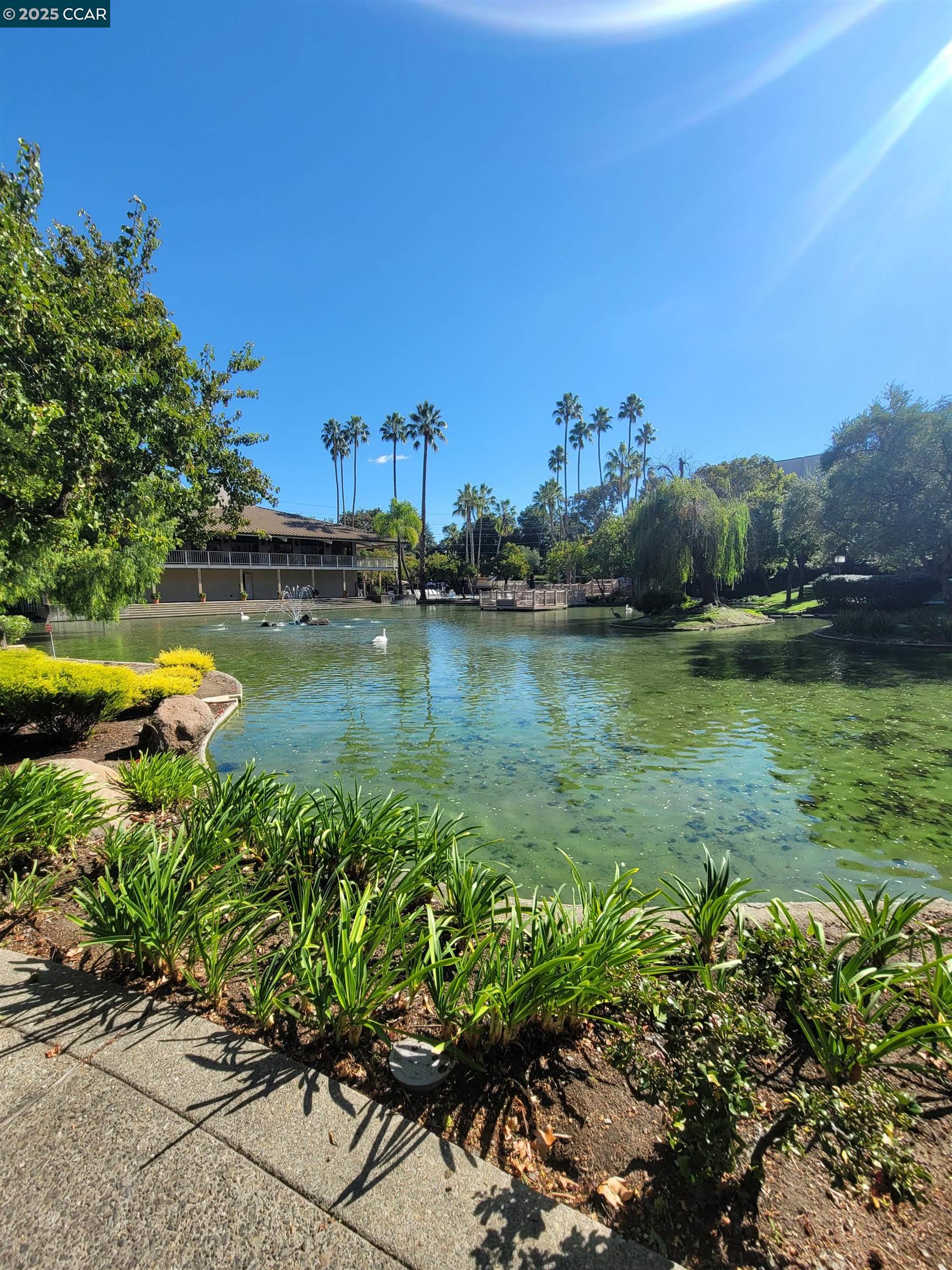 Detail Gallery Image 2 of 45 For 310 N Civic Dr. #315,  Walnut Creek,  CA 94597 - 1 Beds | 1 Baths