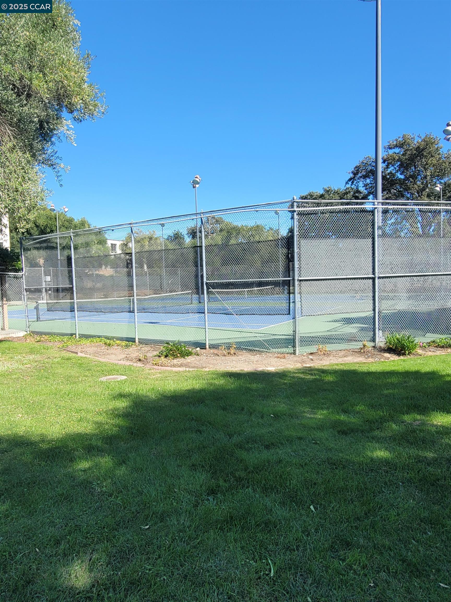 Detail Gallery Image 8 of 45 For 310 N Civic Dr. #315,  Walnut Creek,  CA 94597 - 1 Beds | 1 Baths