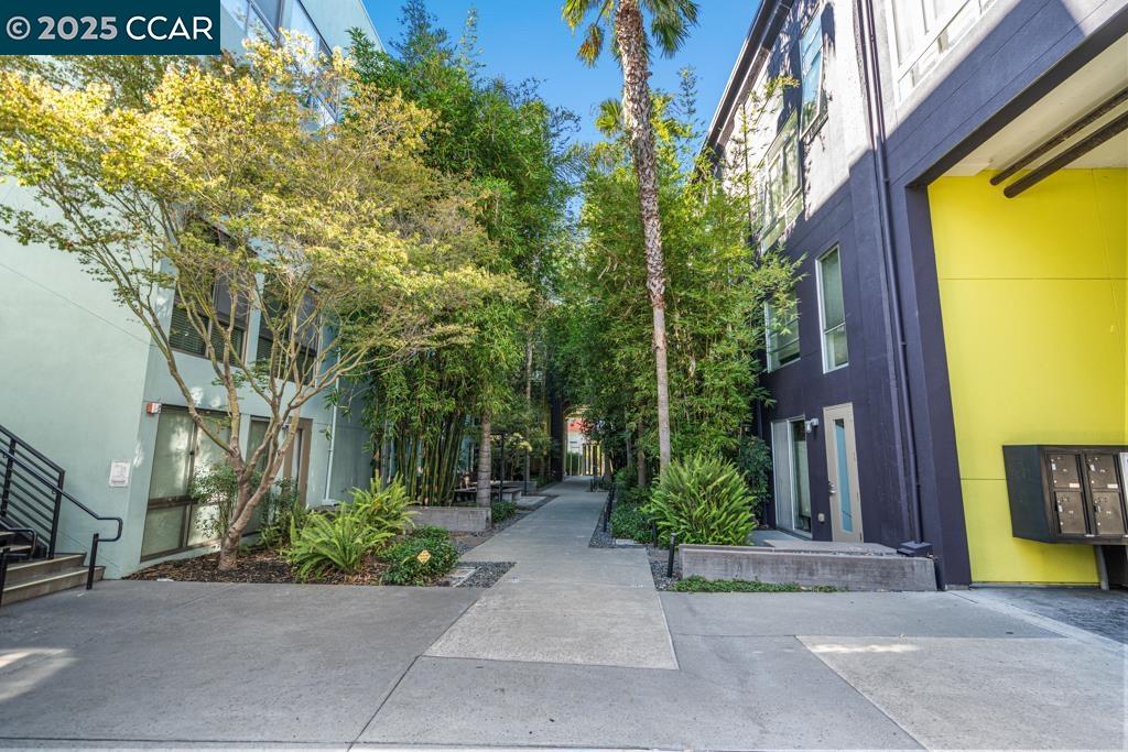 Photo #2: 41114207 Listing 