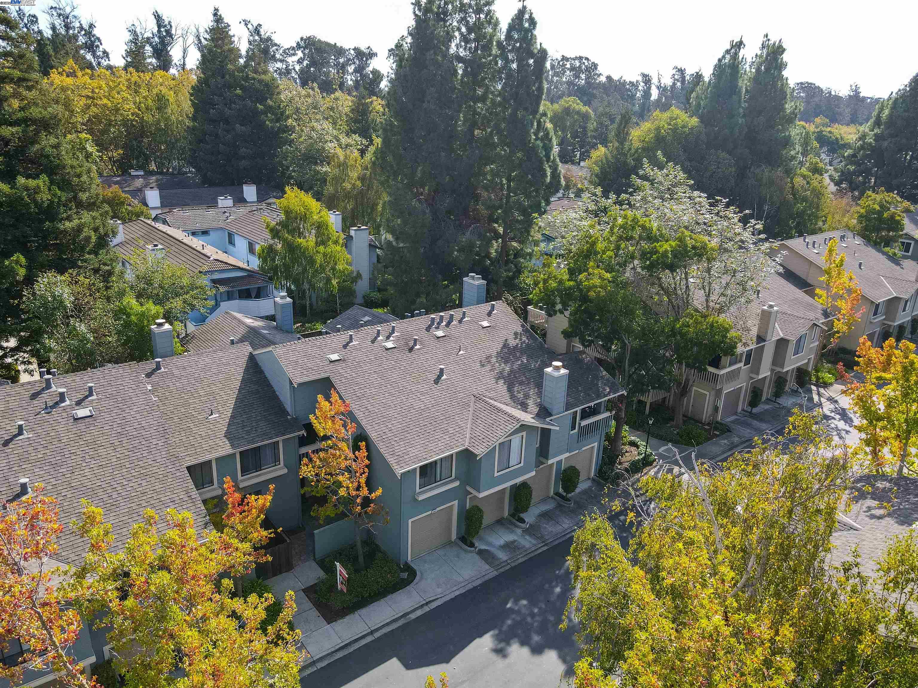 Photo #6: 41114280 Listing 