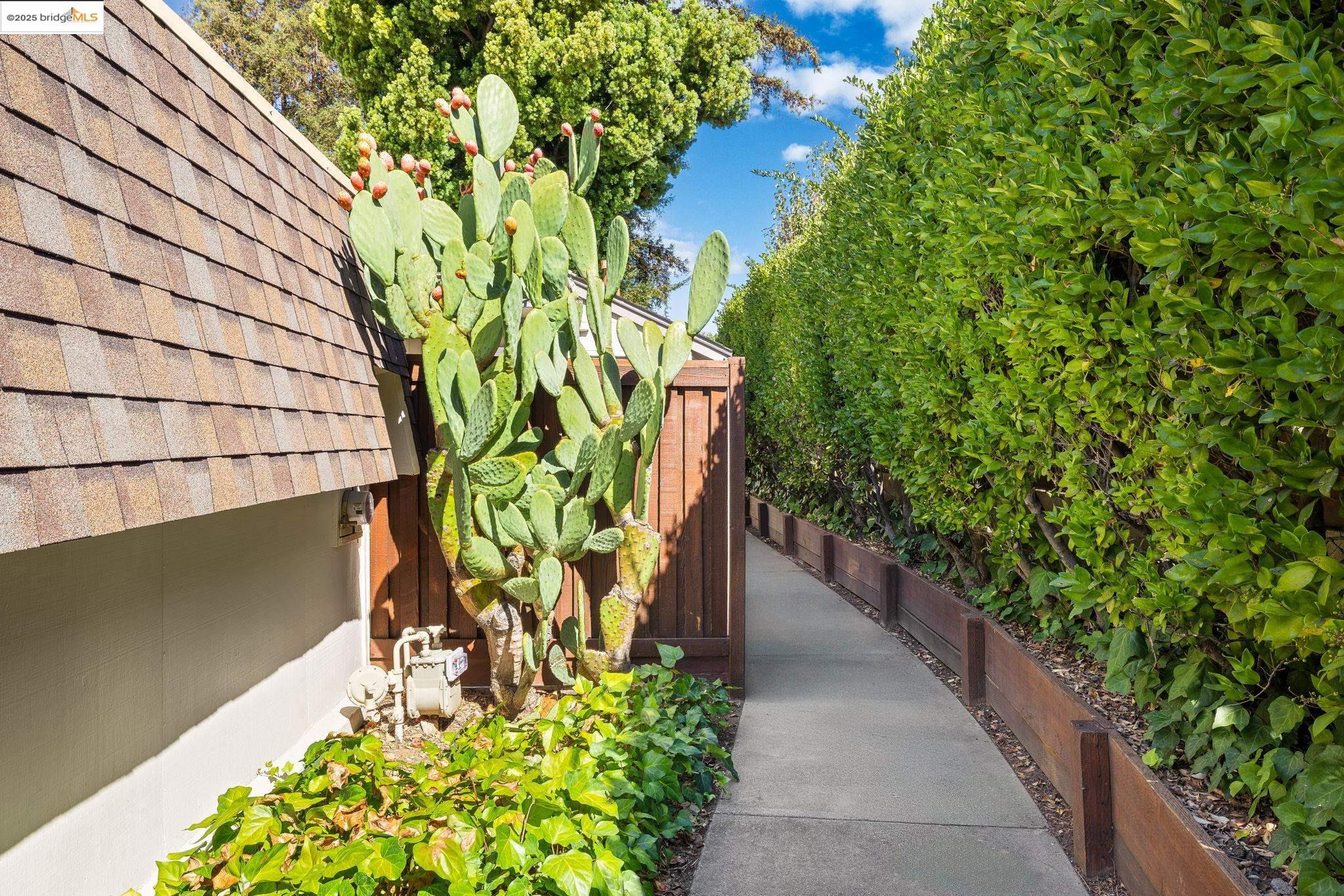 Photo #32: 41114346 Listing: Photo #32