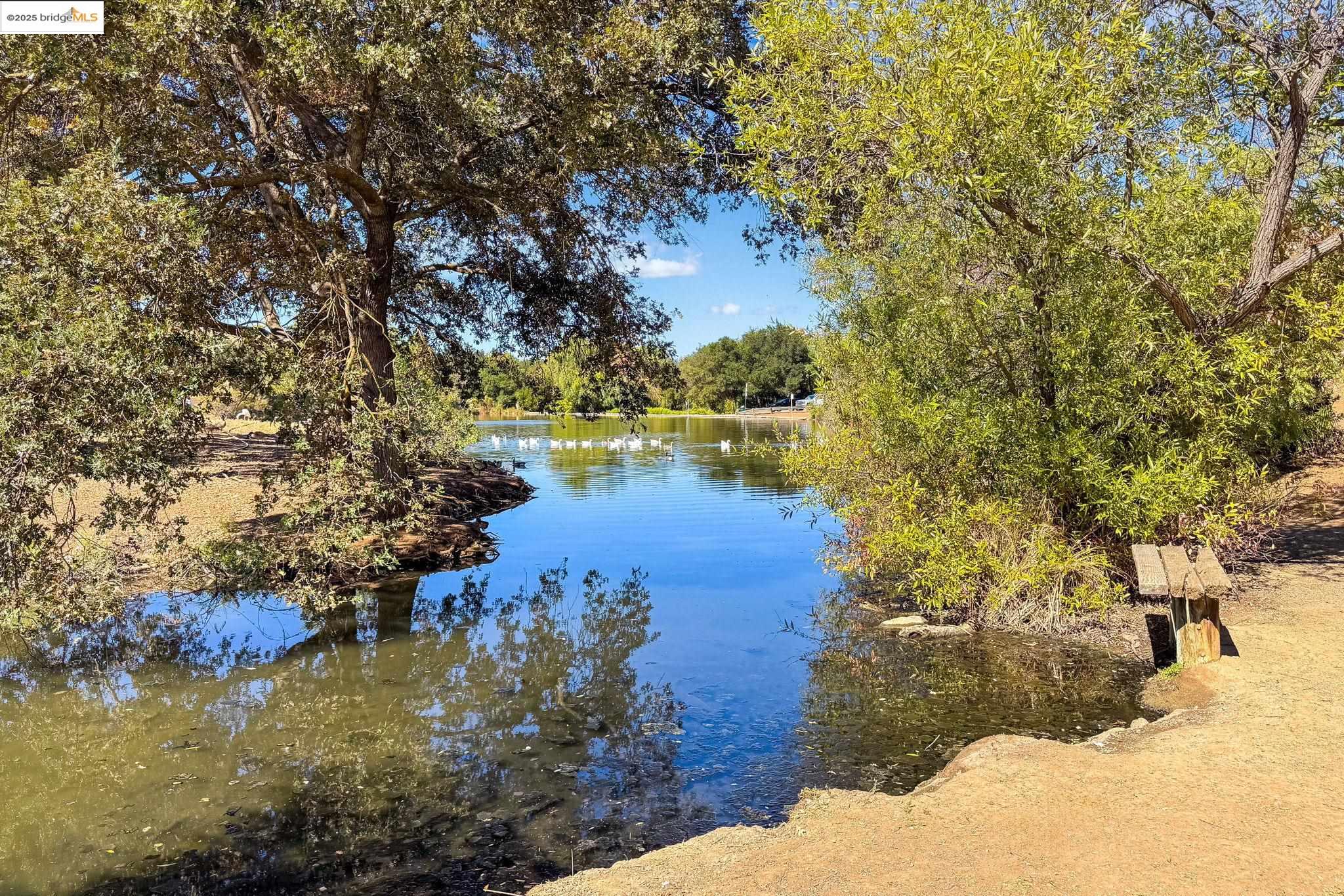 Photo #40: 41114346 Listing: Photo #40