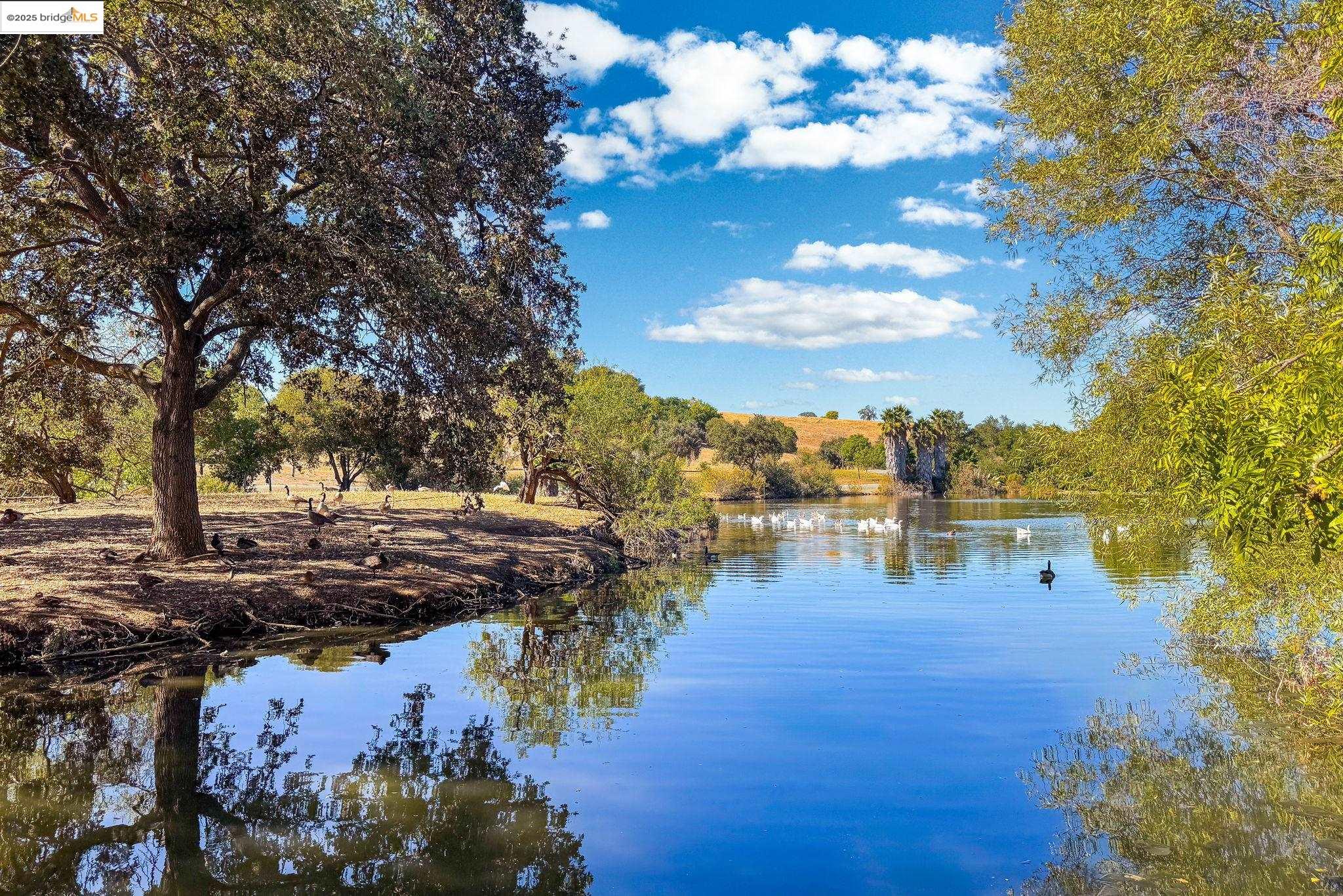 Photo #41: 41114346 Listing: Photo #41