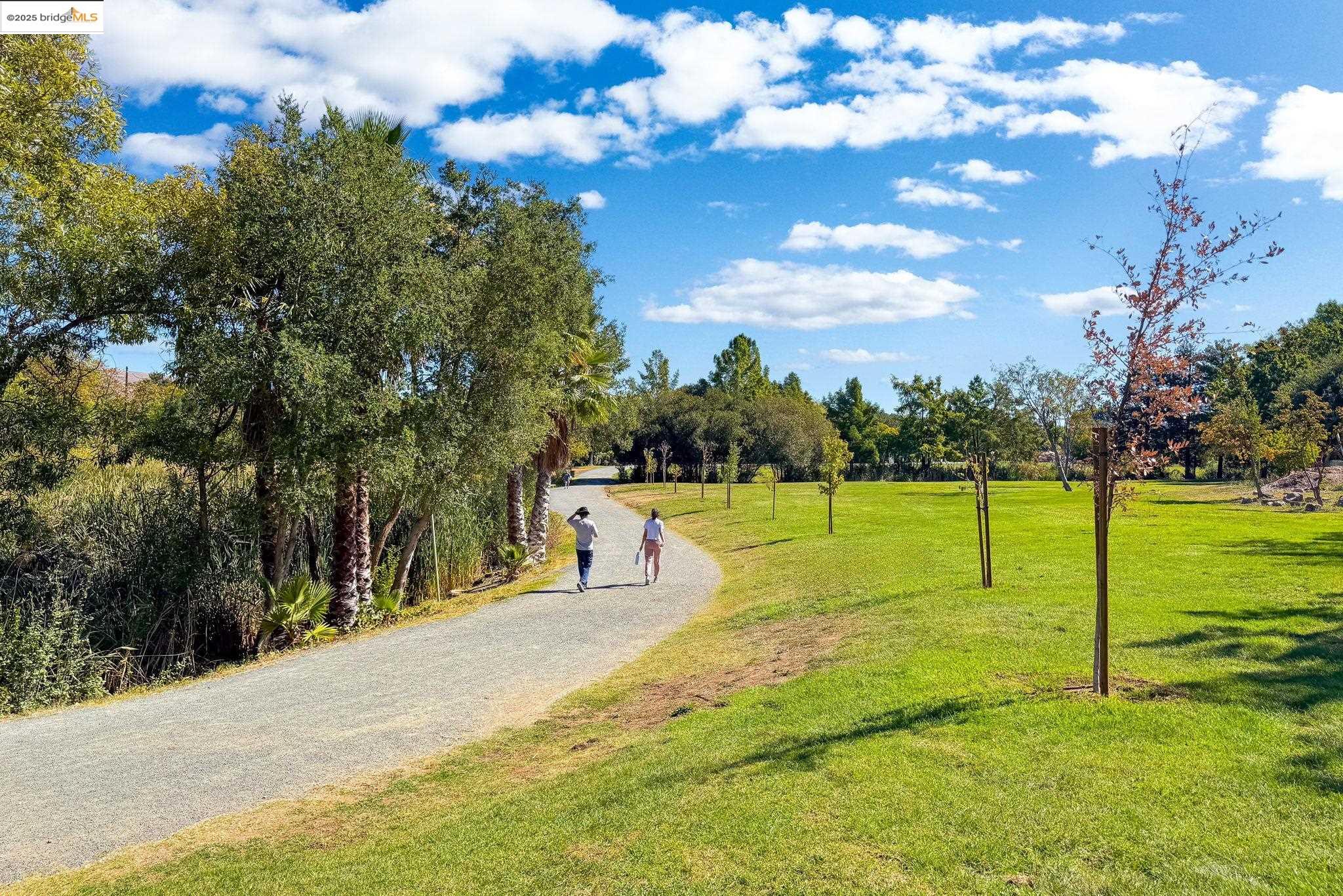 Photo #42: 41114346 Listing: Photo #42