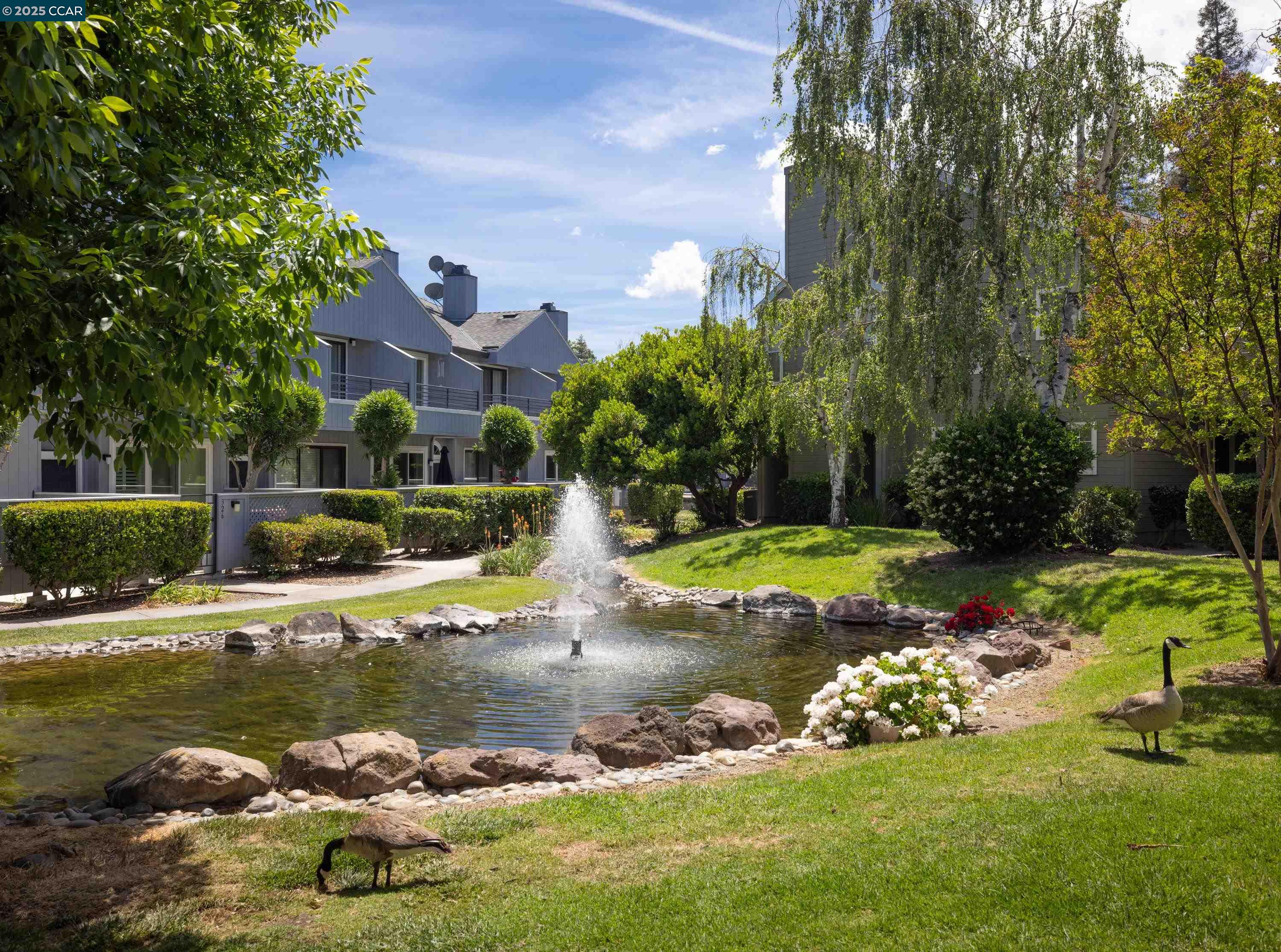 Detail Gallery Image 25 of 30 For 337 Rock Creek Way, Pleasant Hill,  CA 94523 - 3 Beds | 2/1 Baths