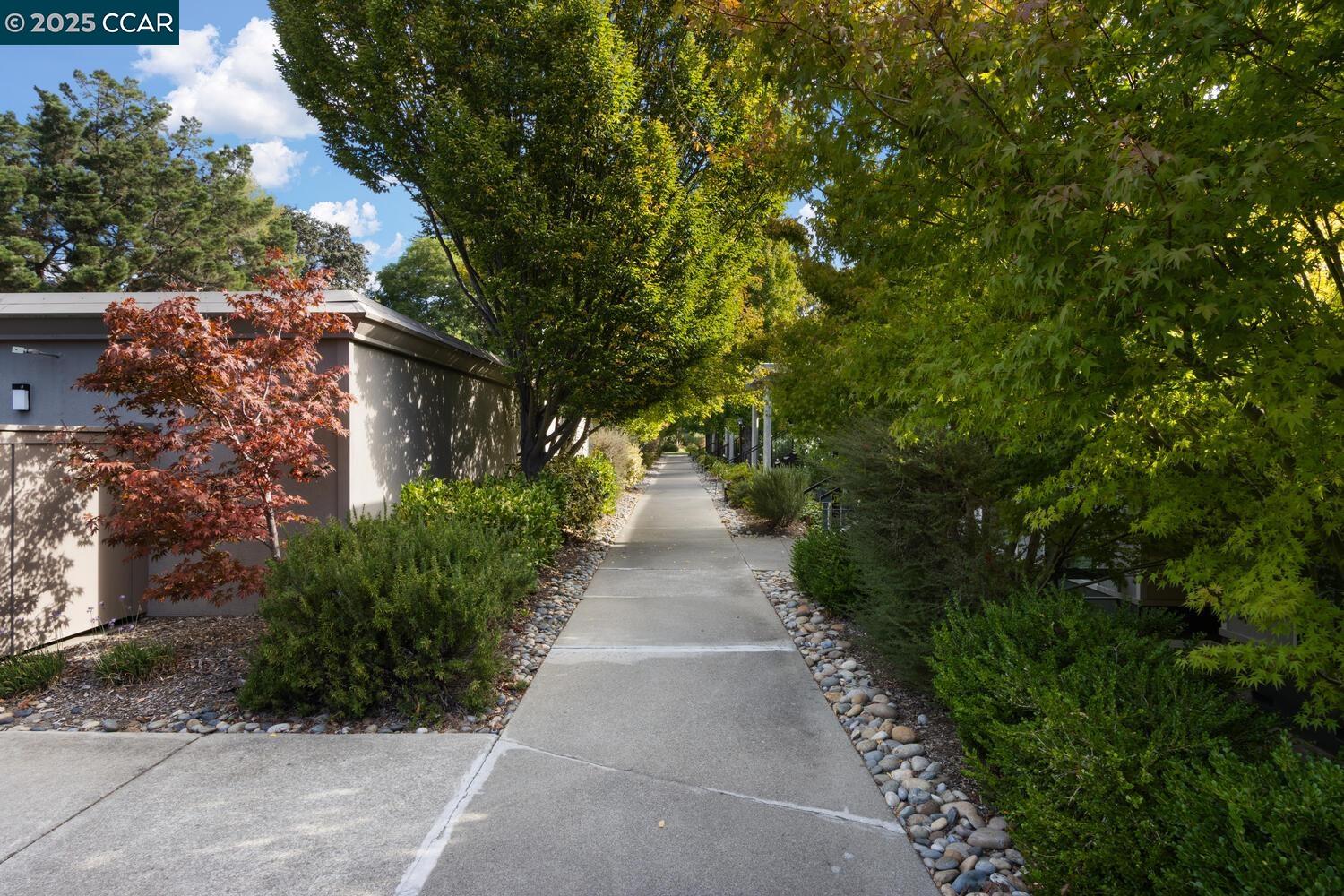Photo #3: 41114429 Listing 