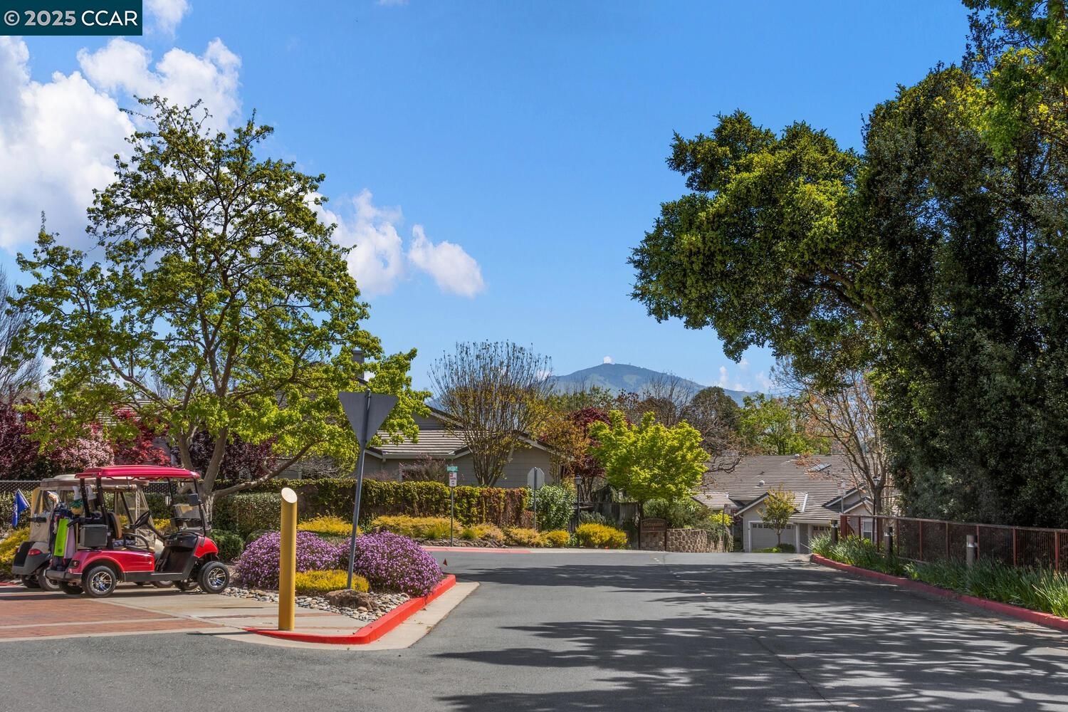 Photo #59: 41114429 Listing: Photo #59