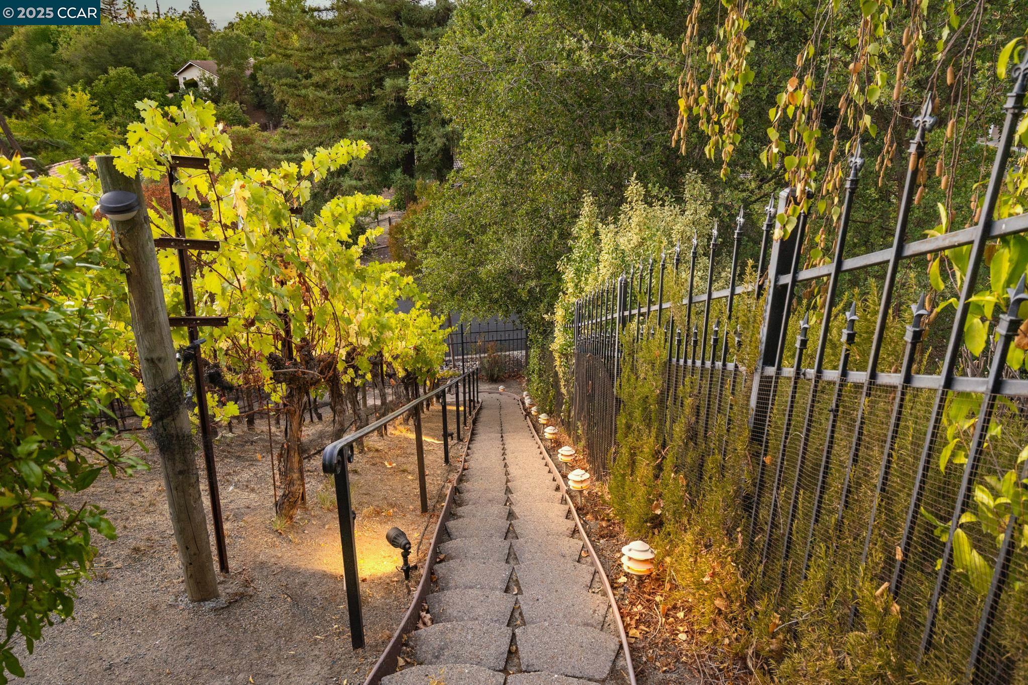 Detail Gallery Image 39 of 48 For 13 Kemp Ct, Alamo,  CA 94507 - 5 Beds | 3/1 Baths