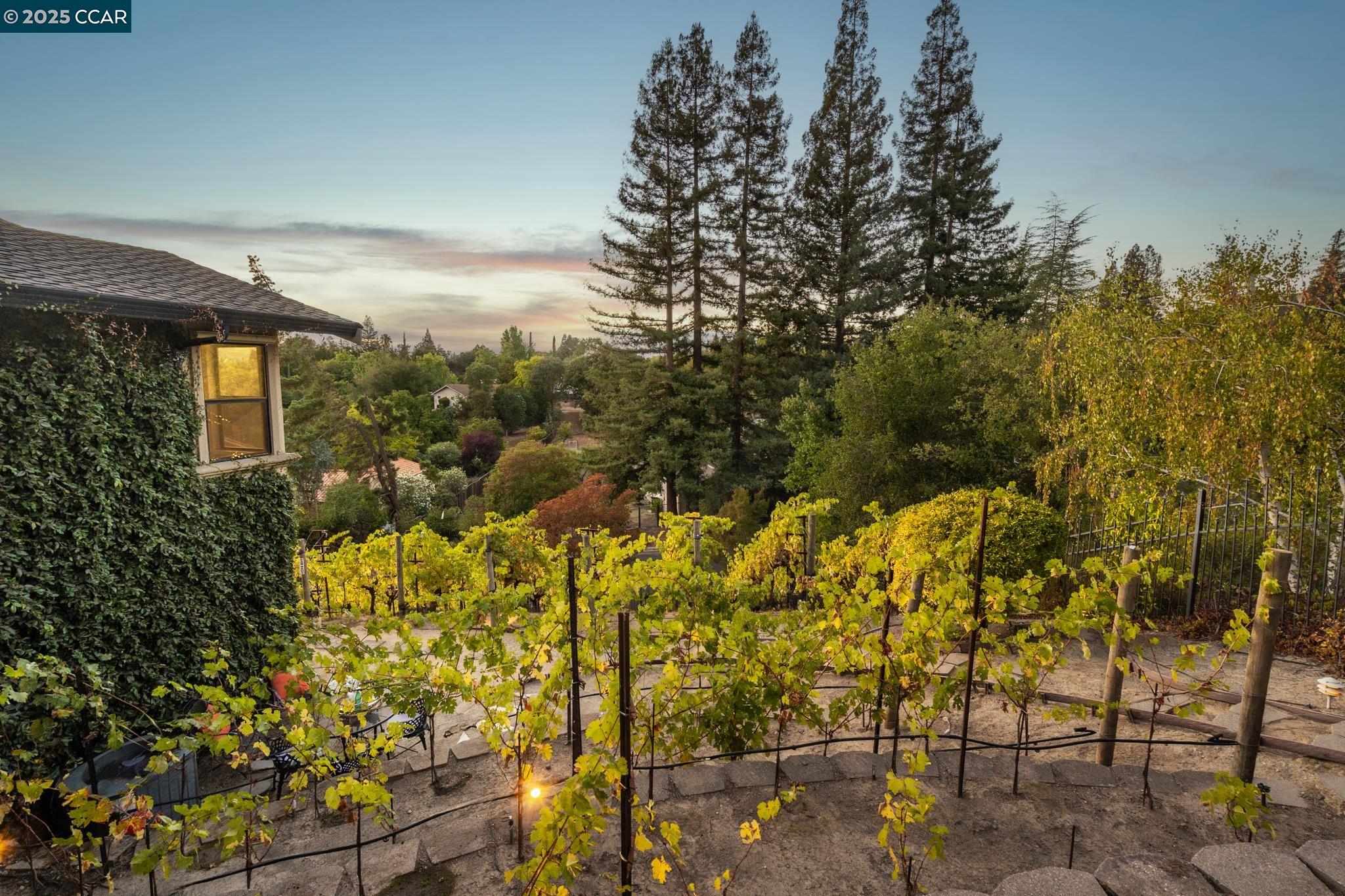 Detail Gallery Image 40 of 48 For 13 Kemp Ct, Alamo,  CA 94507 - 5 Beds | 3/1 Baths