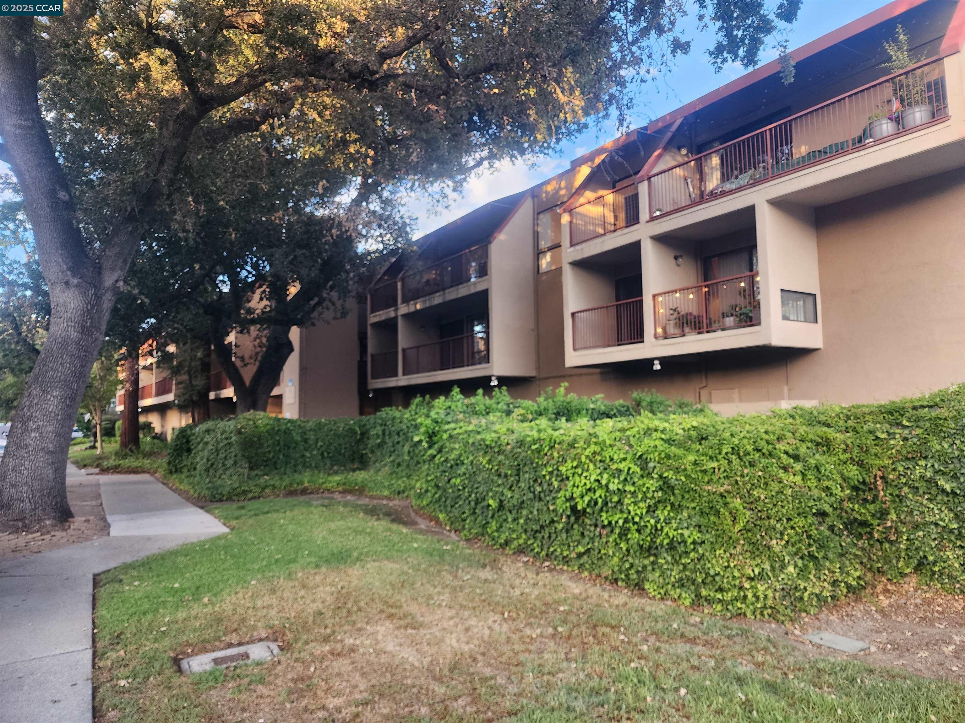 Front Image Thumbnail for CC41114450