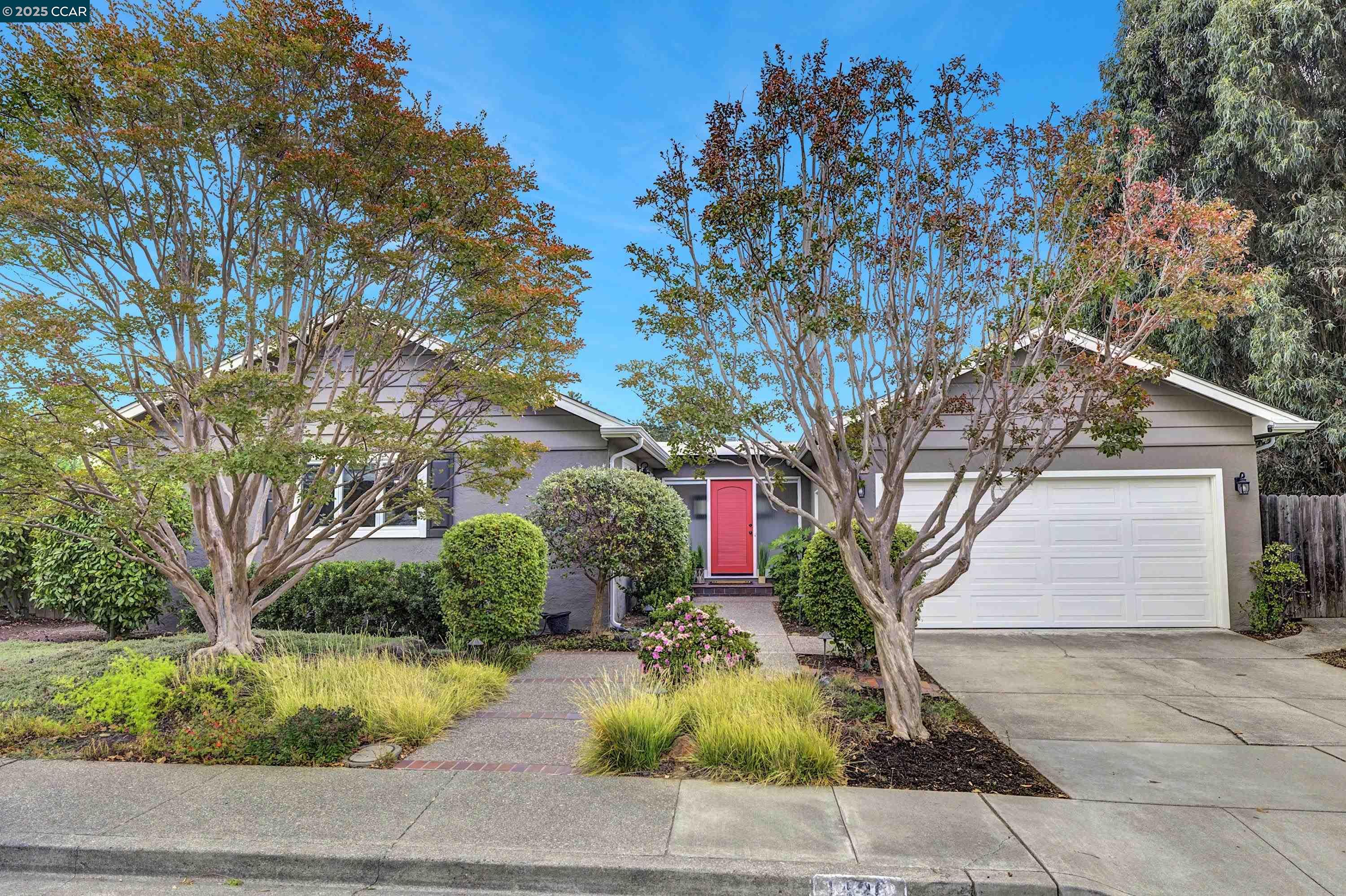 Front Image Thumbnail for CC41114467