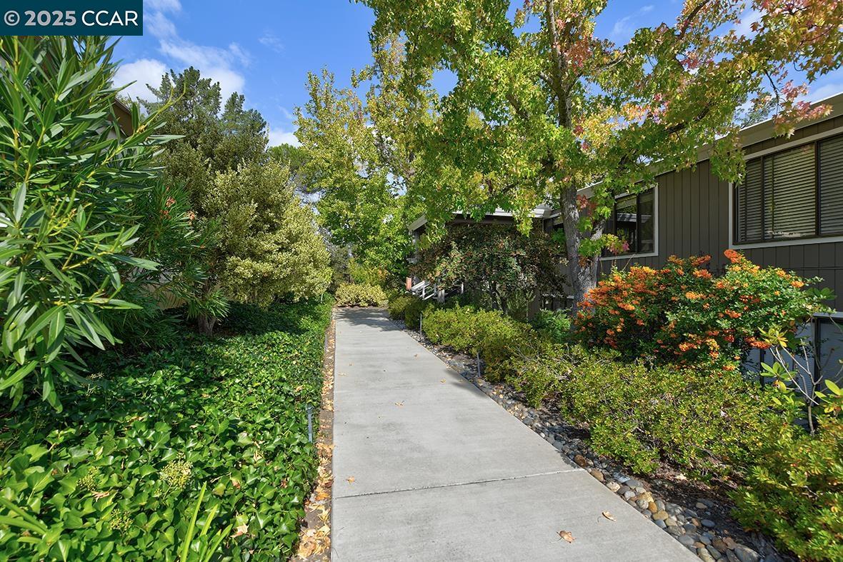 Photo #33: 41114469 Listing: Photo #33