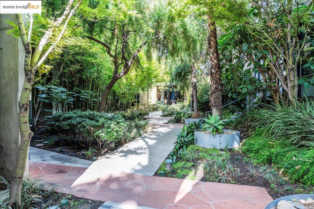 Photo #3: 41114522 Listing 