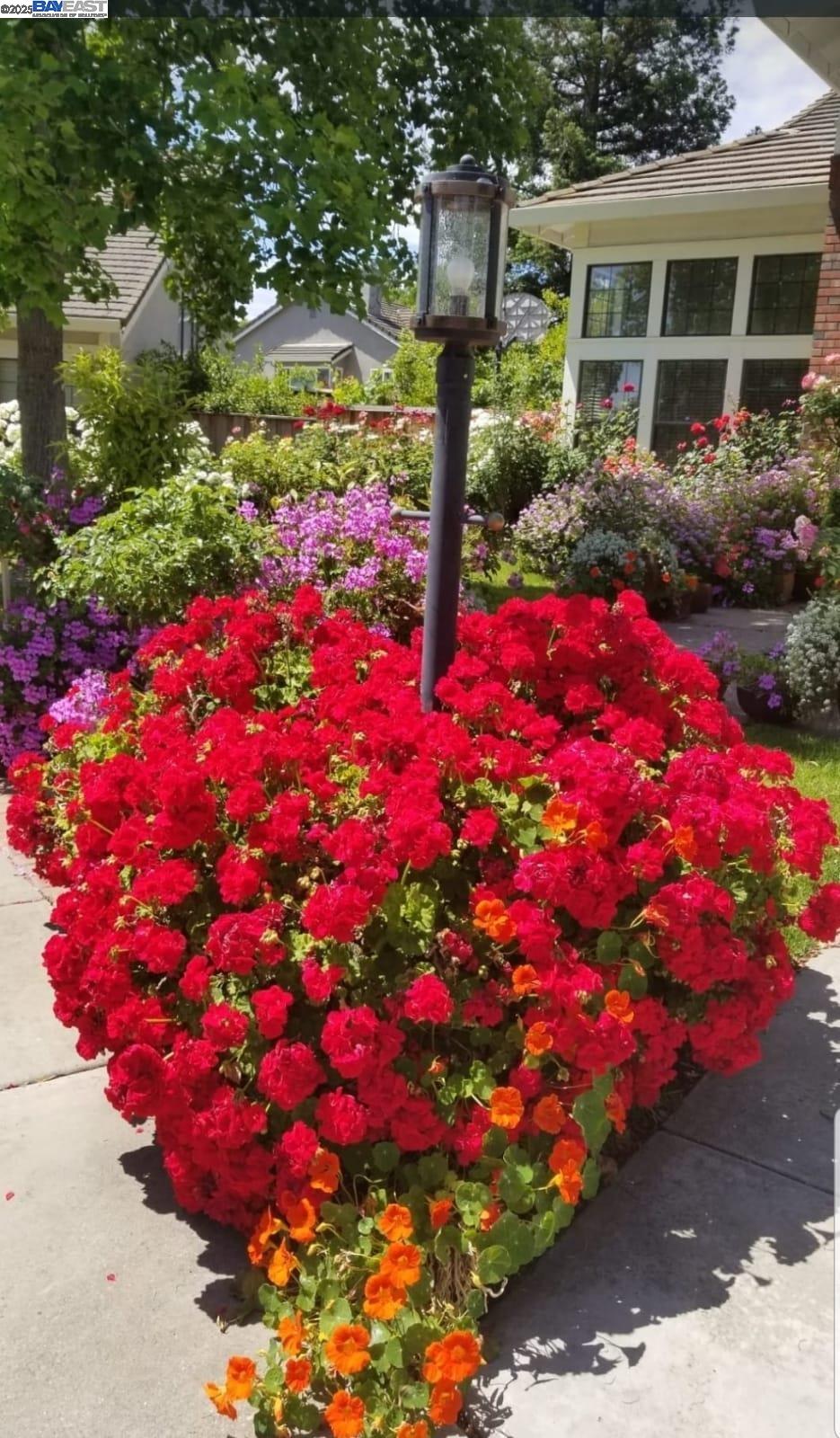 Detail Gallery Image 2 of 56 For 6450 Calle Esperanza, Pleasanton,  CA 94566 - 3 Beds | 2/1 Baths