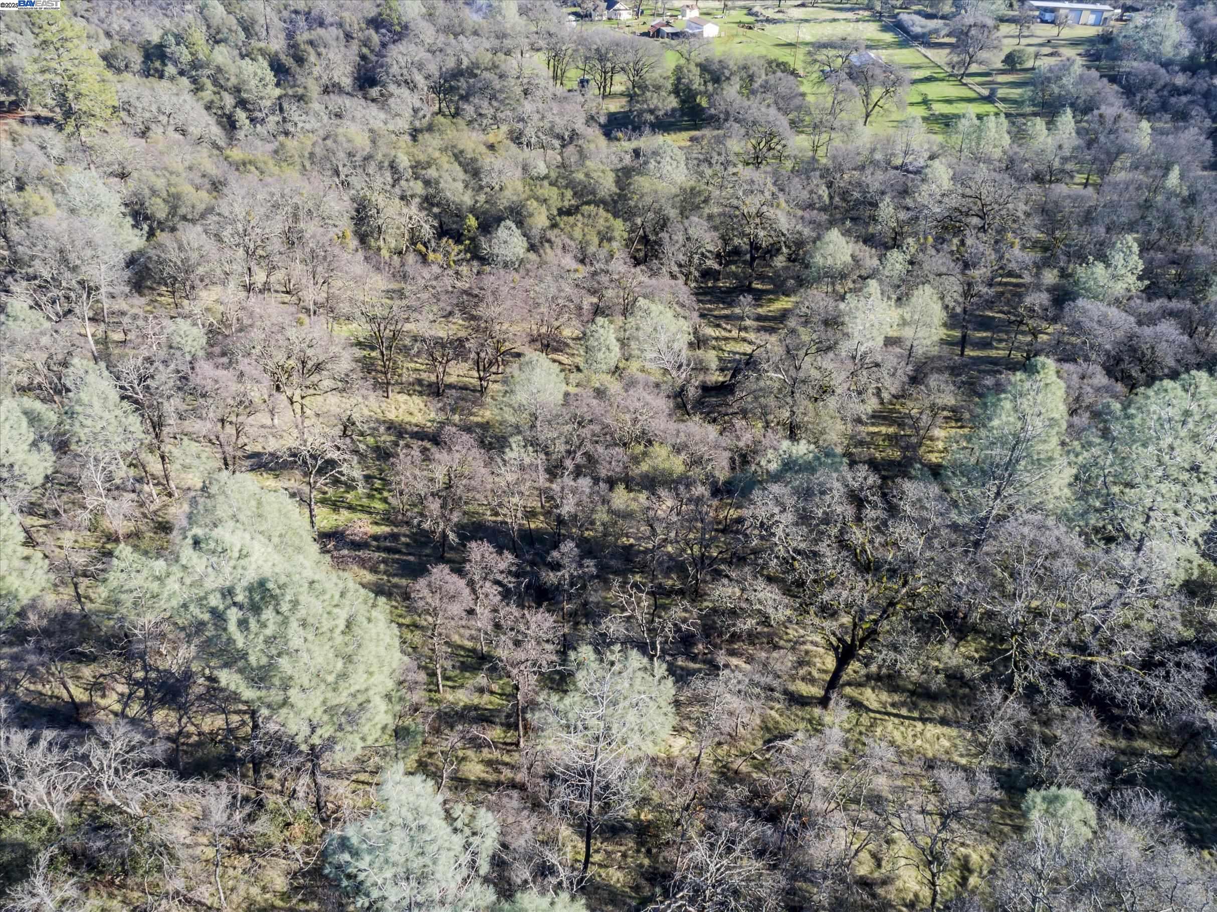 Detail Gallery Image 2 of 9 For 14011 Neptune Ln, –,  CA 95918 - – Beds | – Baths