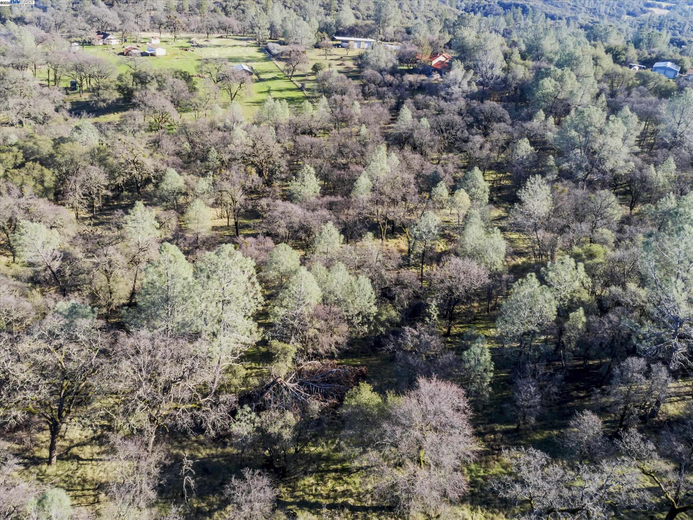 Detail Gallery Image 4 of 9 For 14011 Neptune Ln, –,  CA 95918 - – Beds | – Baths