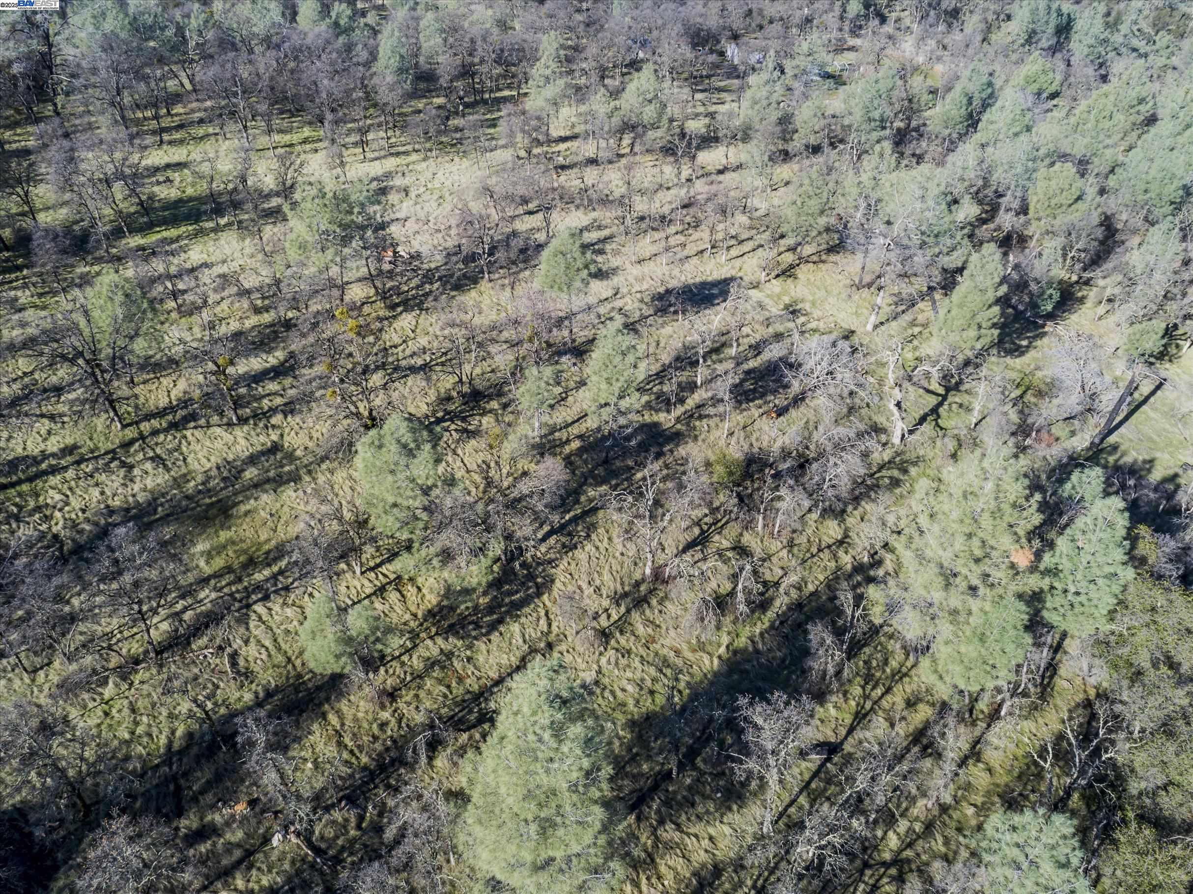 Detail Gallery Image 5 of 9 For 14011 Neptune Ln, –,  CA 95918 - – Beds | – Baths