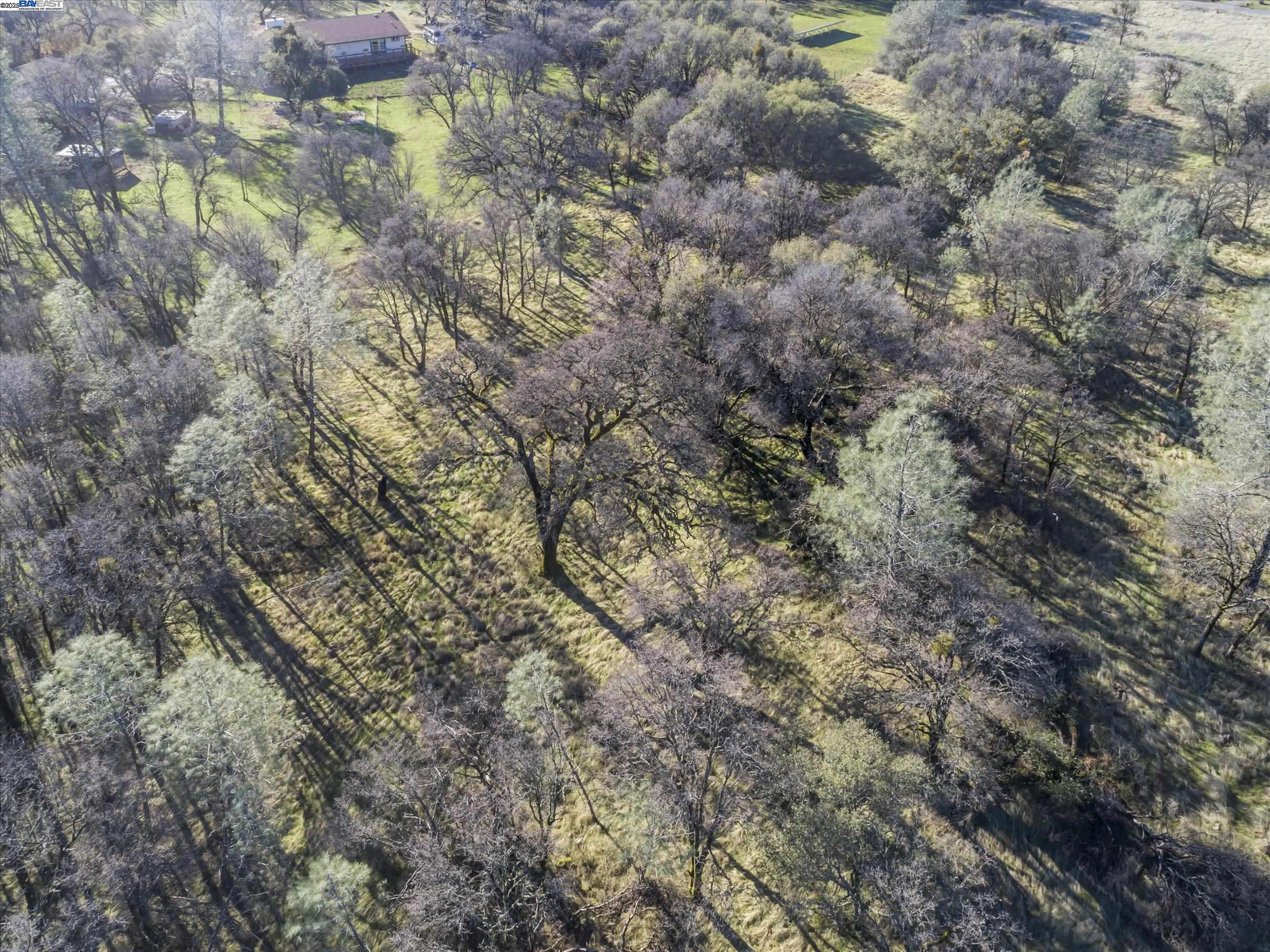 Detail Gallery Image 6 of 9 For 14011 Neptune Ln, –,  CA 95918 - – Beds | – Baths