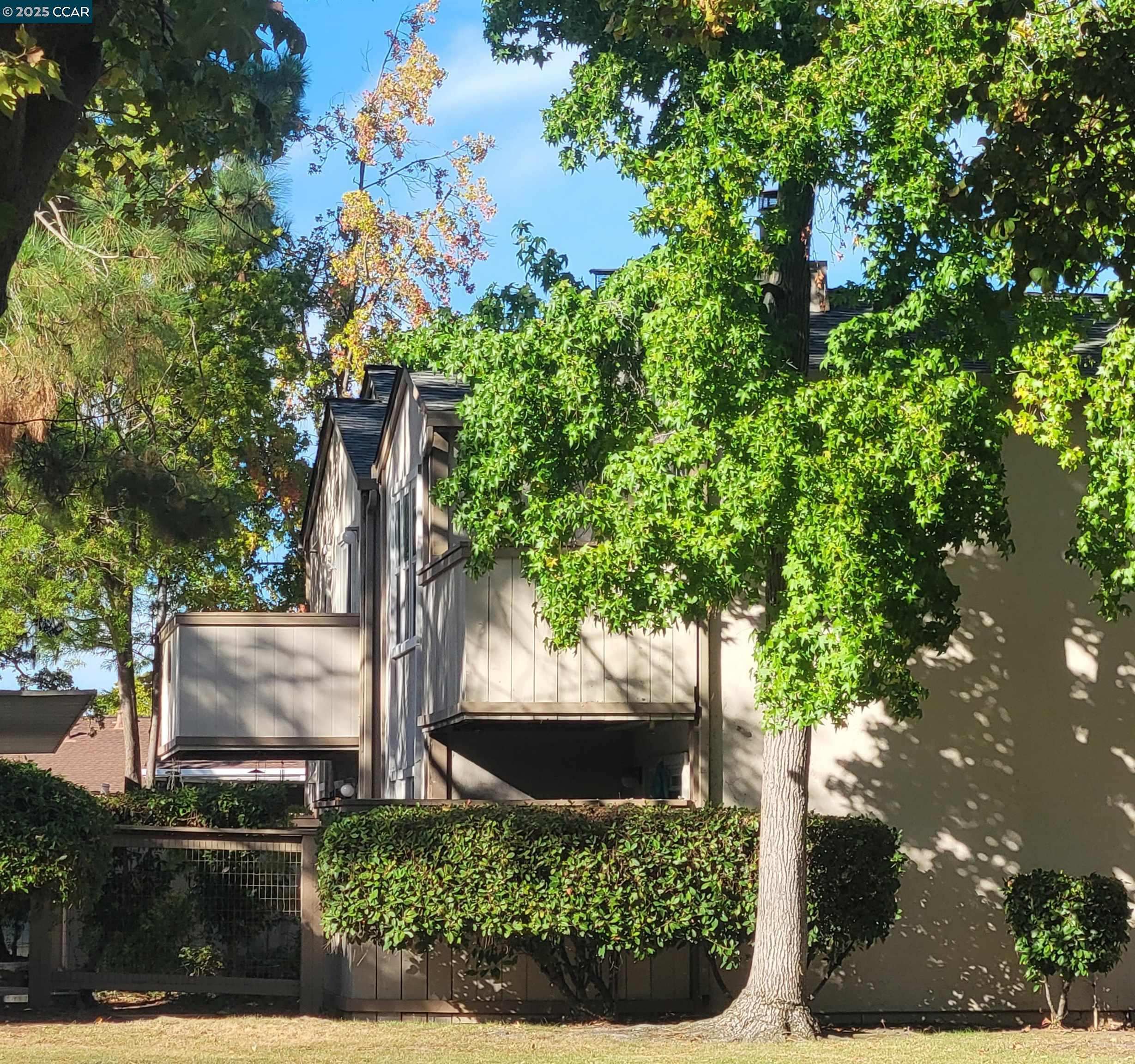 Photo #2: 41114572 Listing 