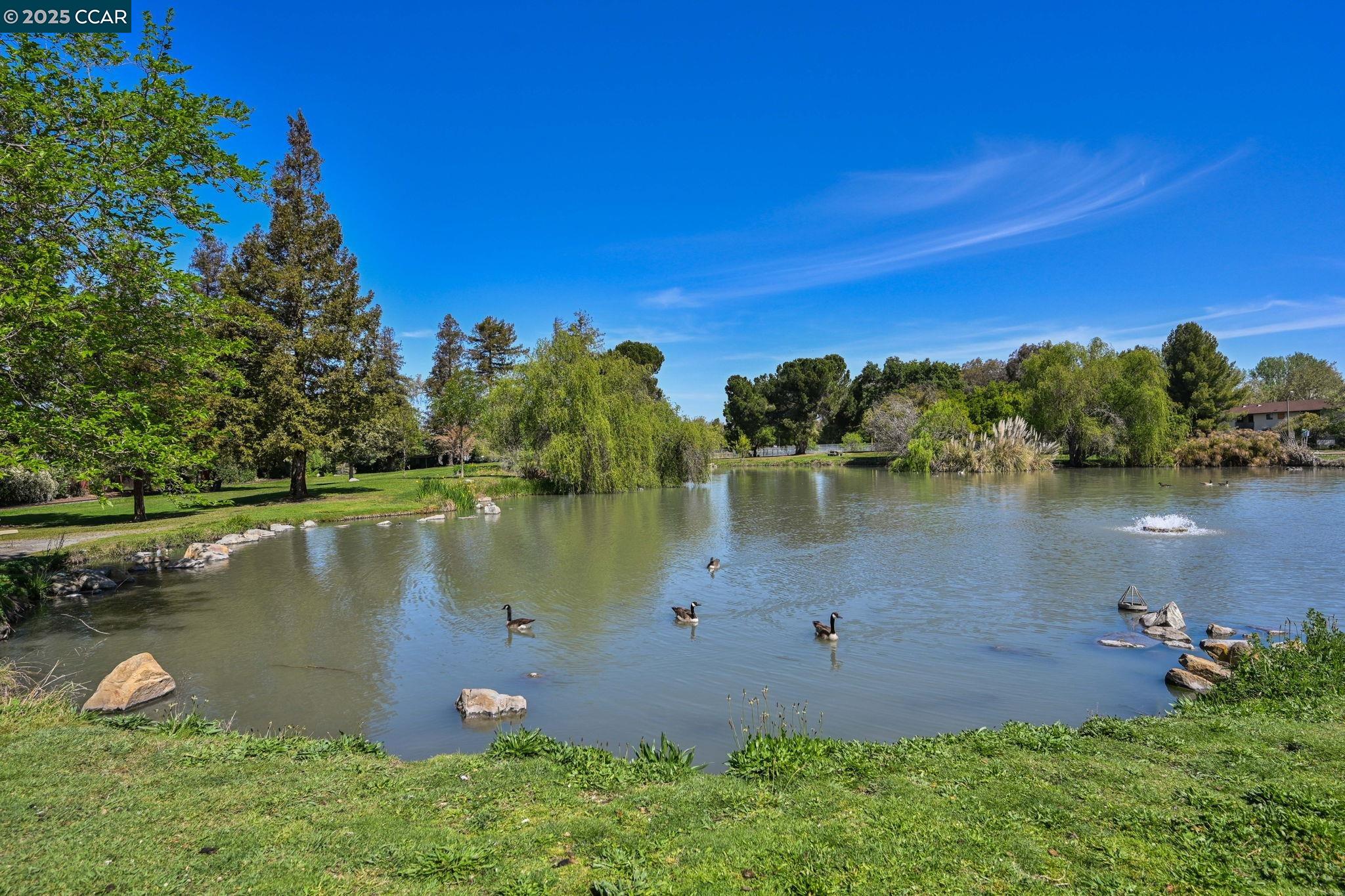 Detail Gallery Image 22 of 26 For 1954 N 6th St, Concord,  CA 94519 - 3 Beds | 2 Baths