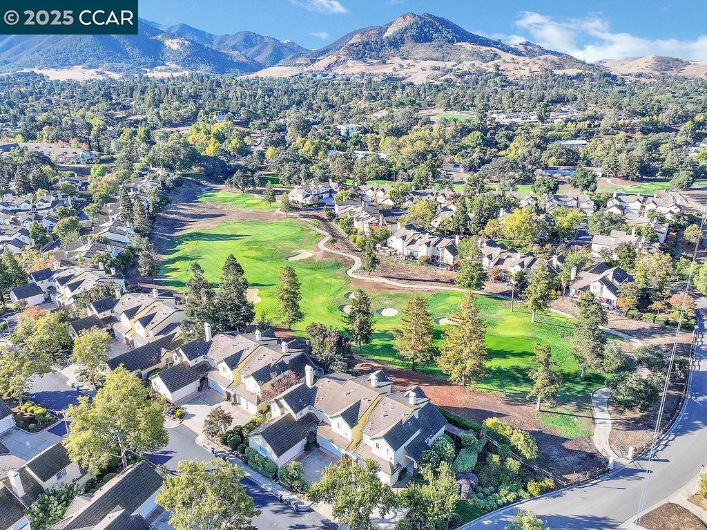 Front Image Thumbnail for CC41114614